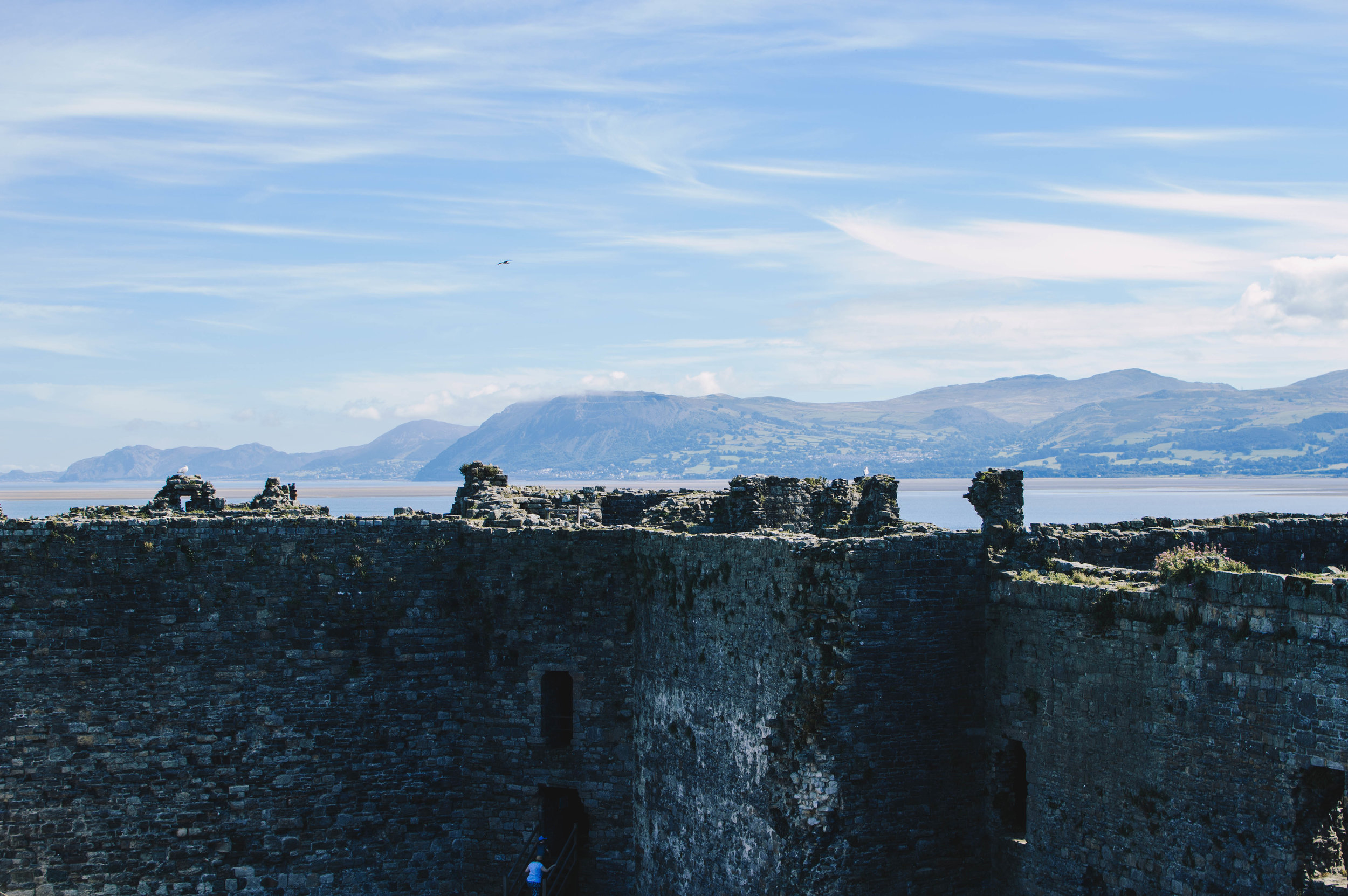 Beaumaris Caslte