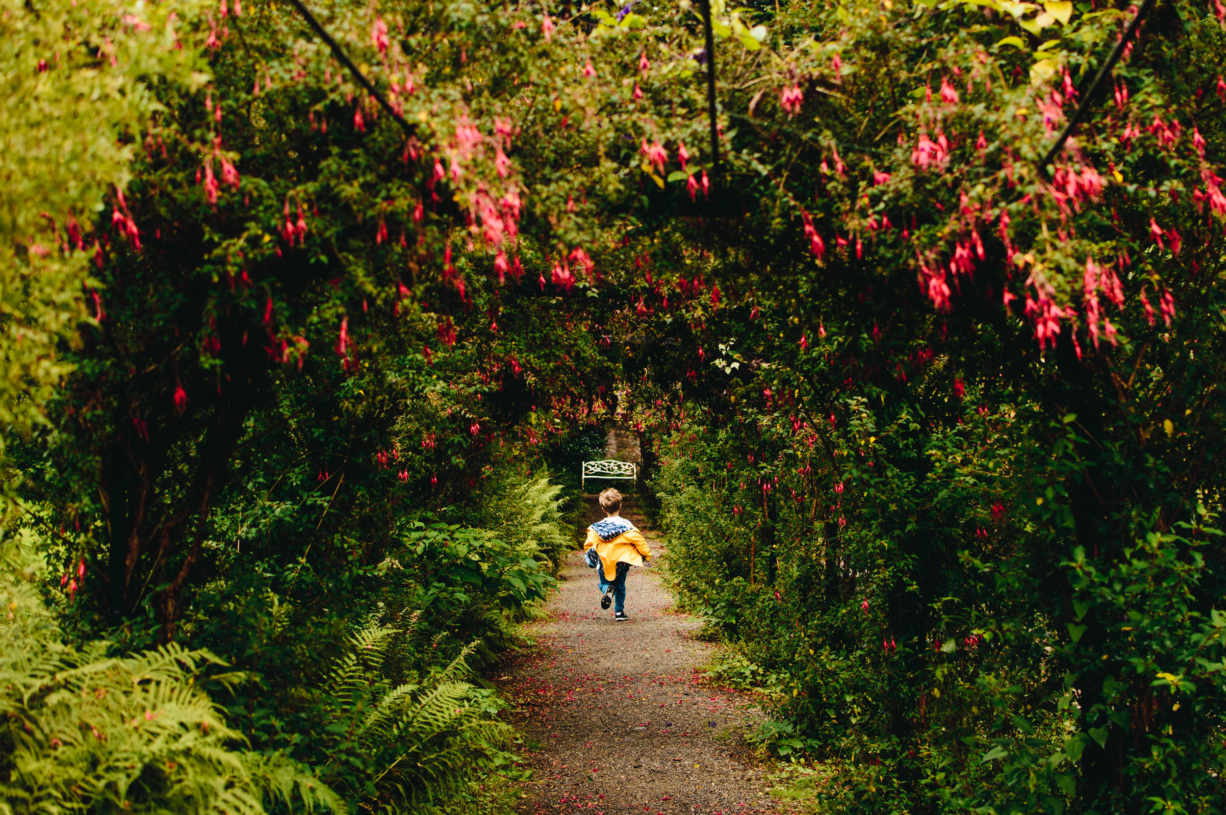 Gardens at Penrhyn Castle