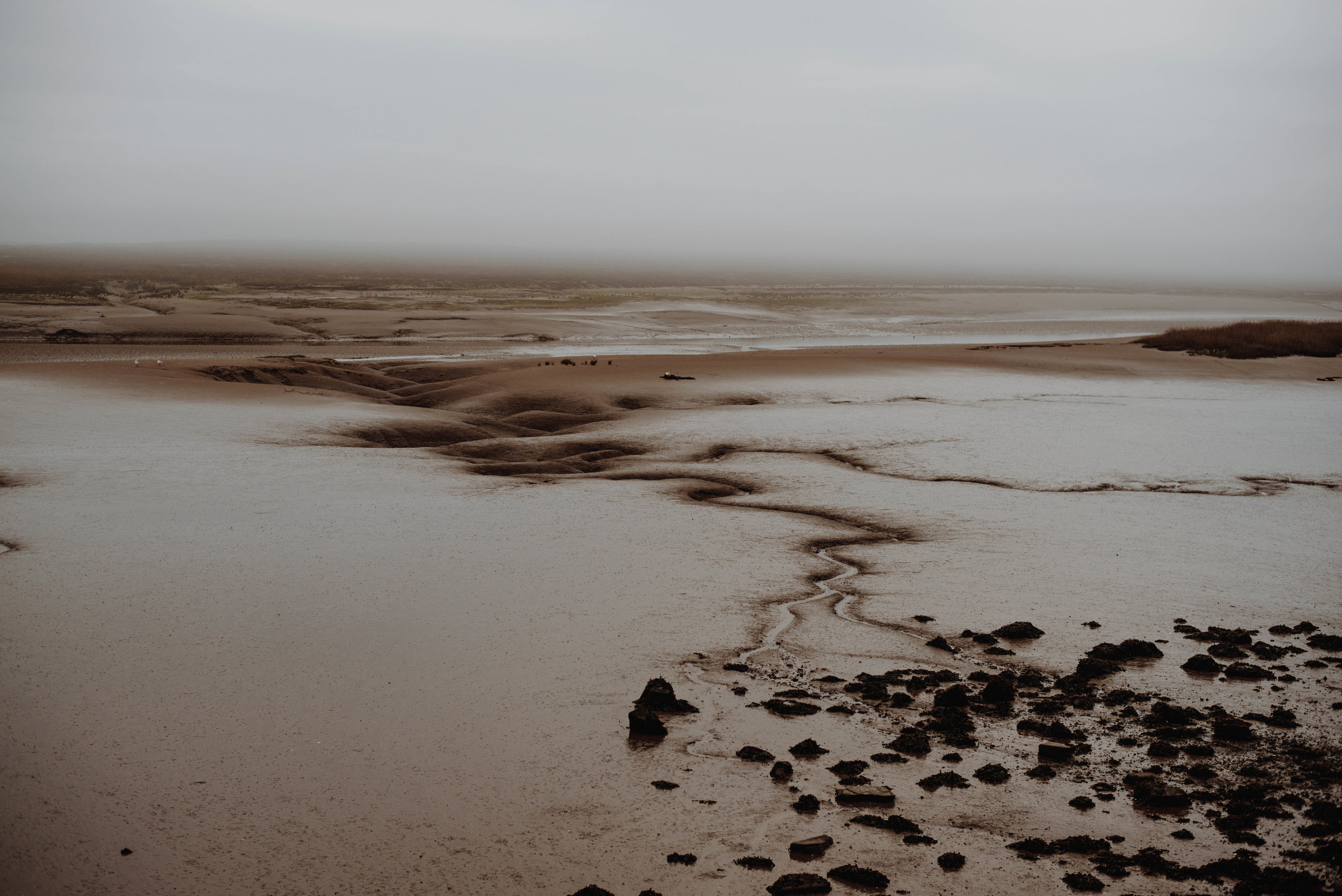 Penclawdd SS:1/640 F2.8 ISO:160 WB: Cloudy 50mm Lens. Single Spot Focus.