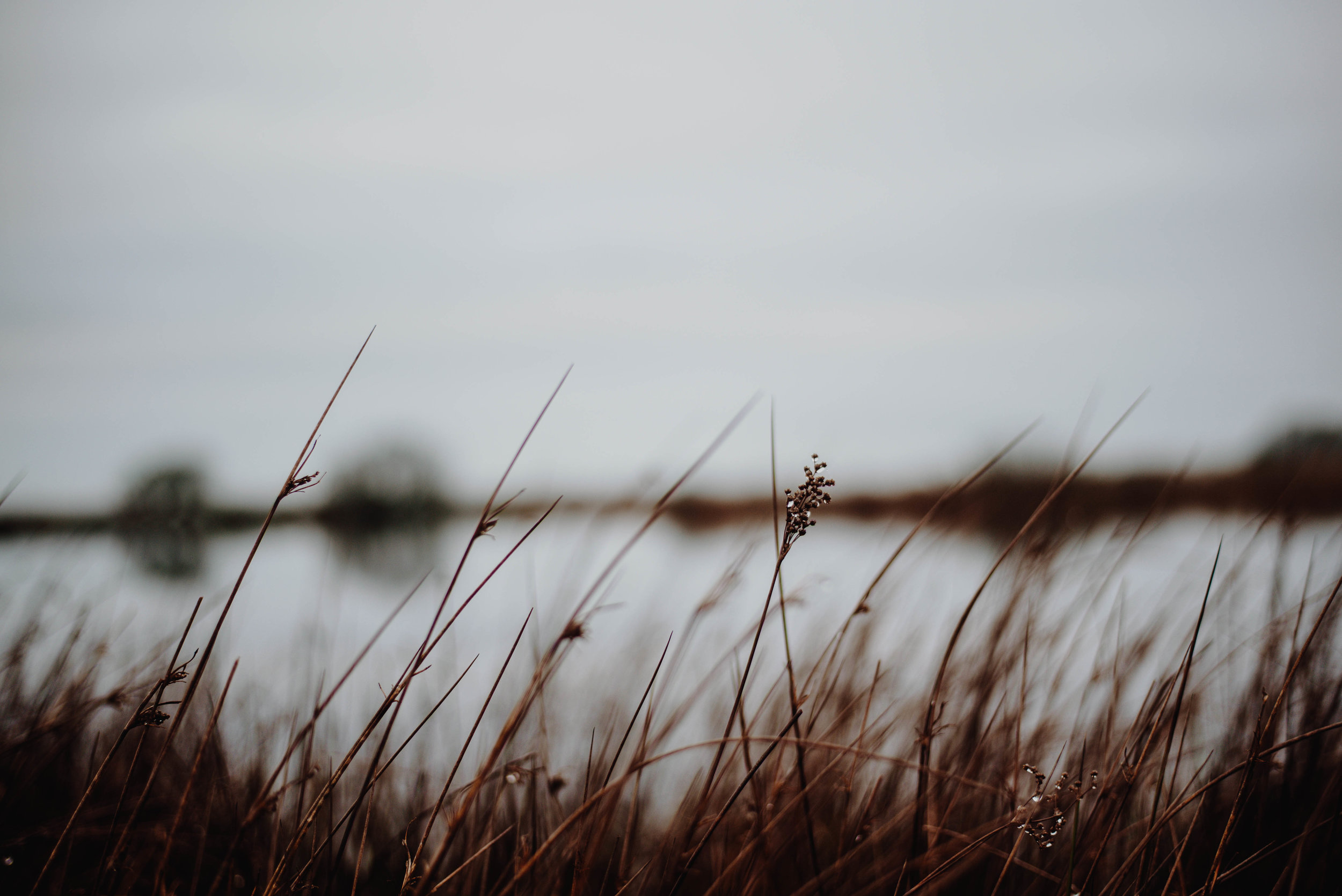 Don't be afraid to look for different angles and perspectives. SS:1/640 F1.8 ISO:160 WB: Cloudy. 50mm Lens. Single Spot Focus.