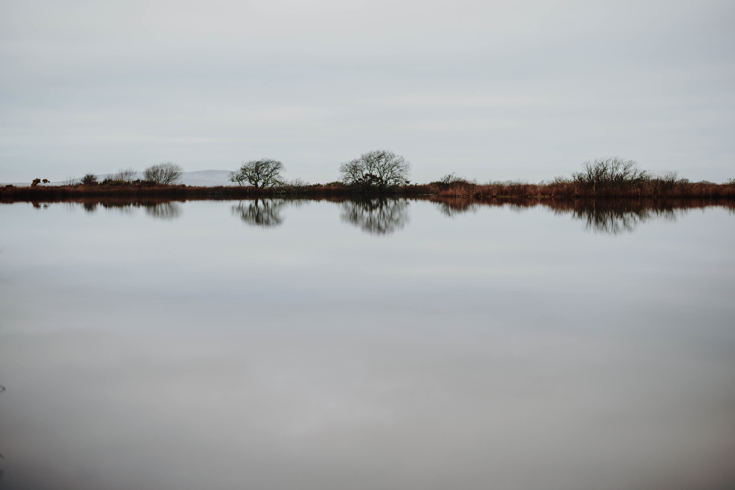 SS:1/400 F2.2 ISO:160 WB: Cloudy. 50mm Lens. Single Spot Focus