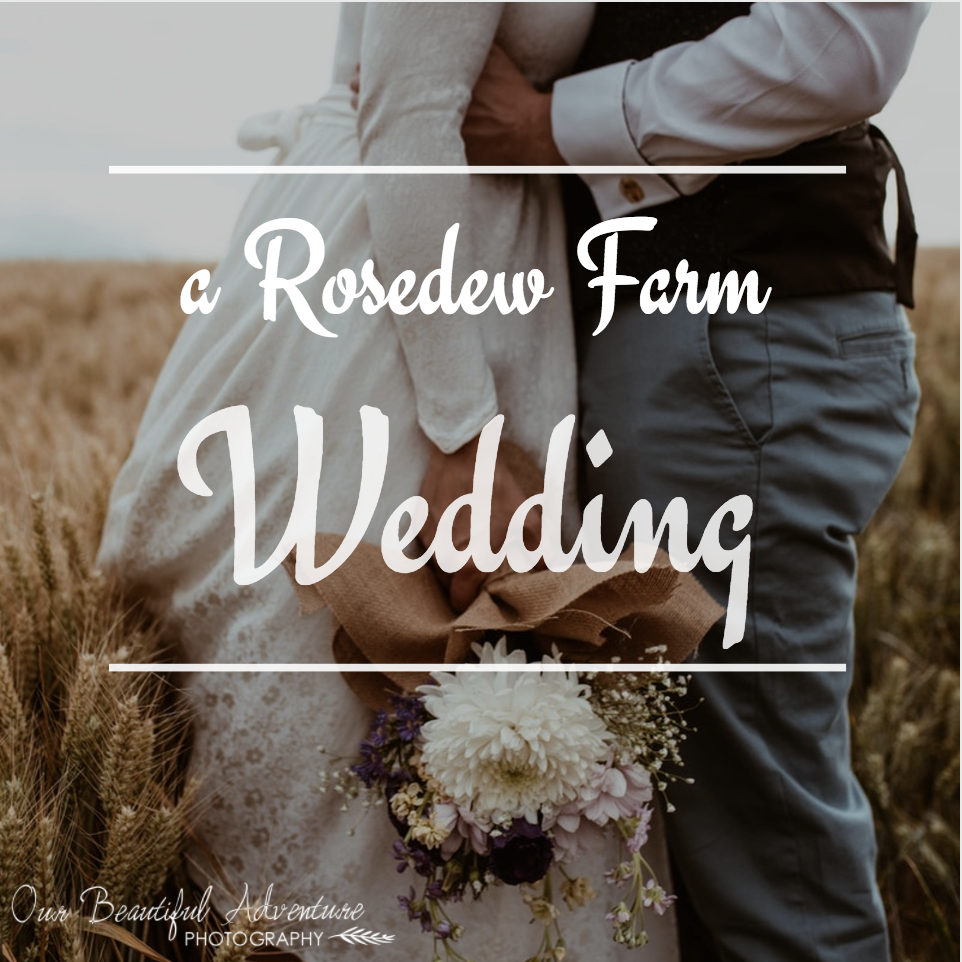A Rosedew Farm Wedding