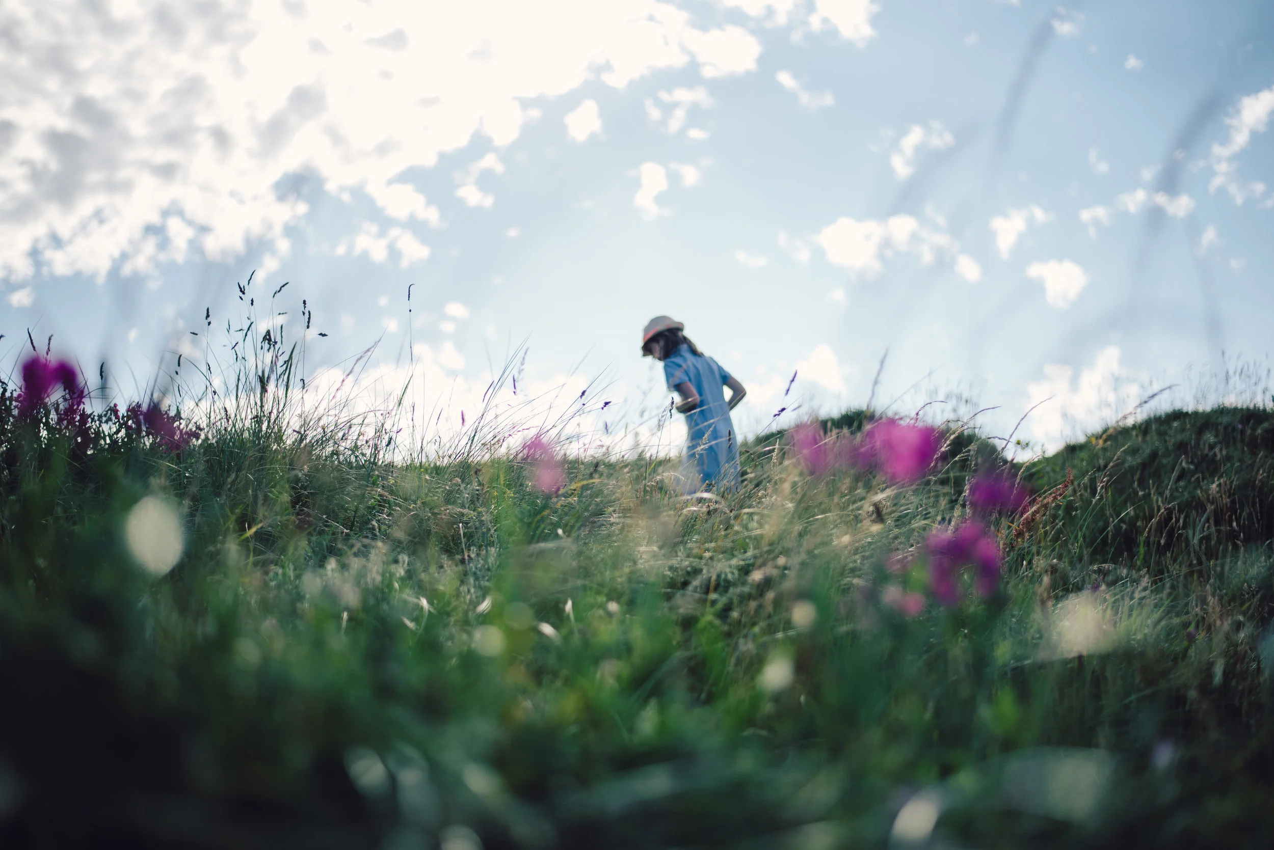 Freedom to explore