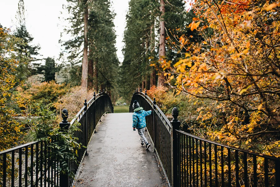 Benmore Botanic Gardens Blog - Visit Scotland - Our Beautiful Adventure