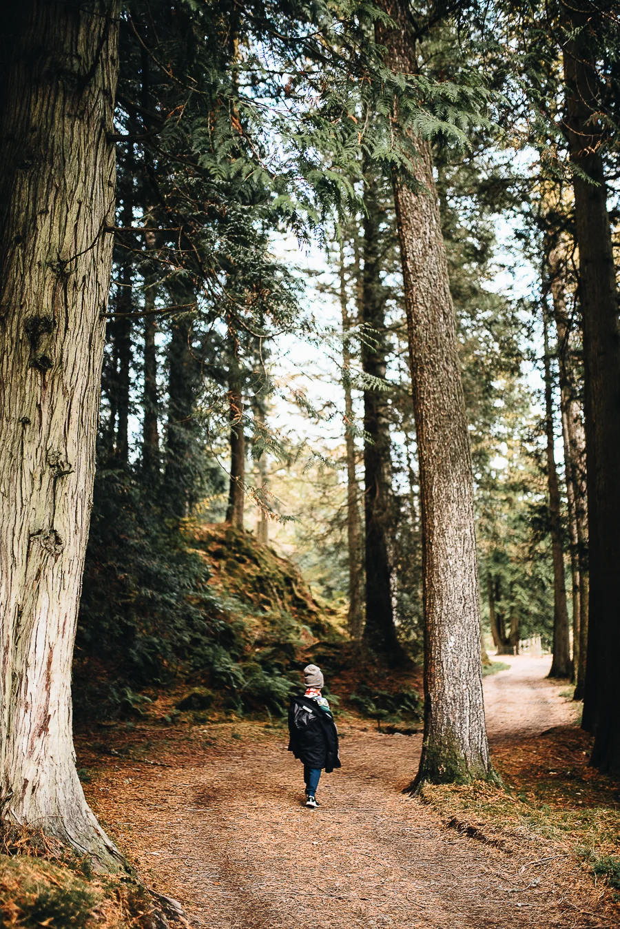 Benmore Botanic Gardens Blog - Visit Scotland - Our Beautiful Adventure