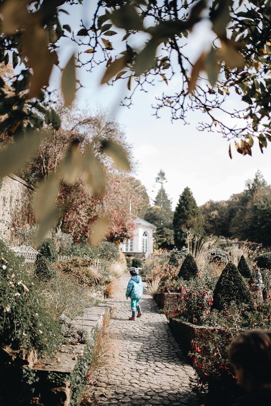The walled garden at Colby Woods.