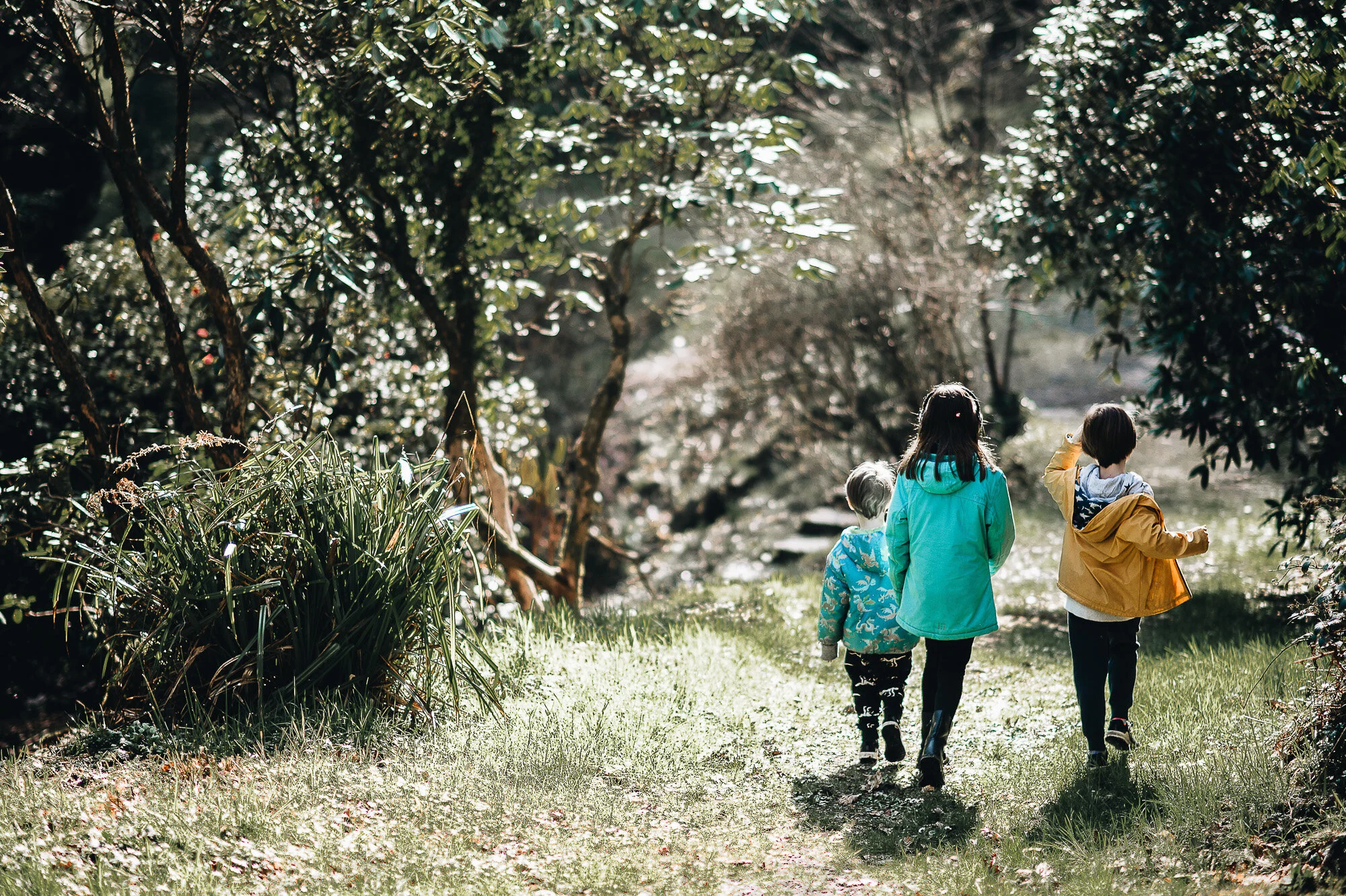 National Trust days out blog- South Wales