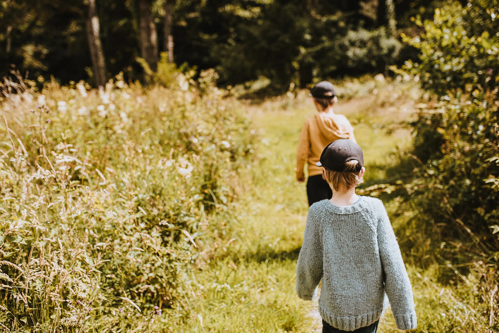 Colby Woodland Gardens - Amroth - Our Beautiful Adventure