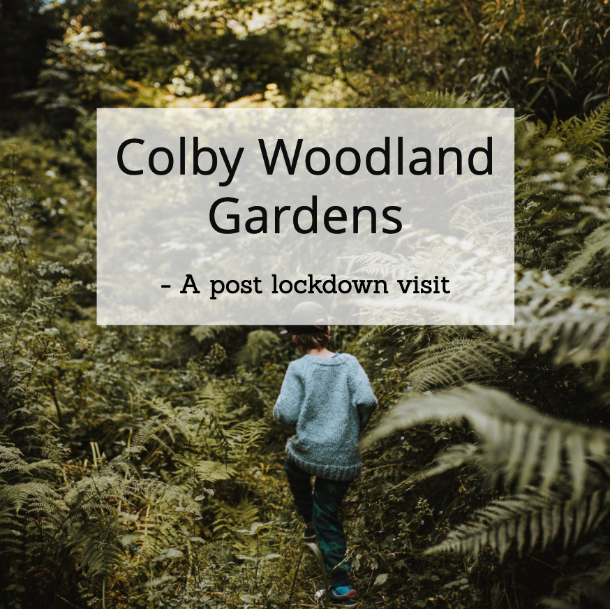 Colby Woodland Gardens - A post lockdown visit