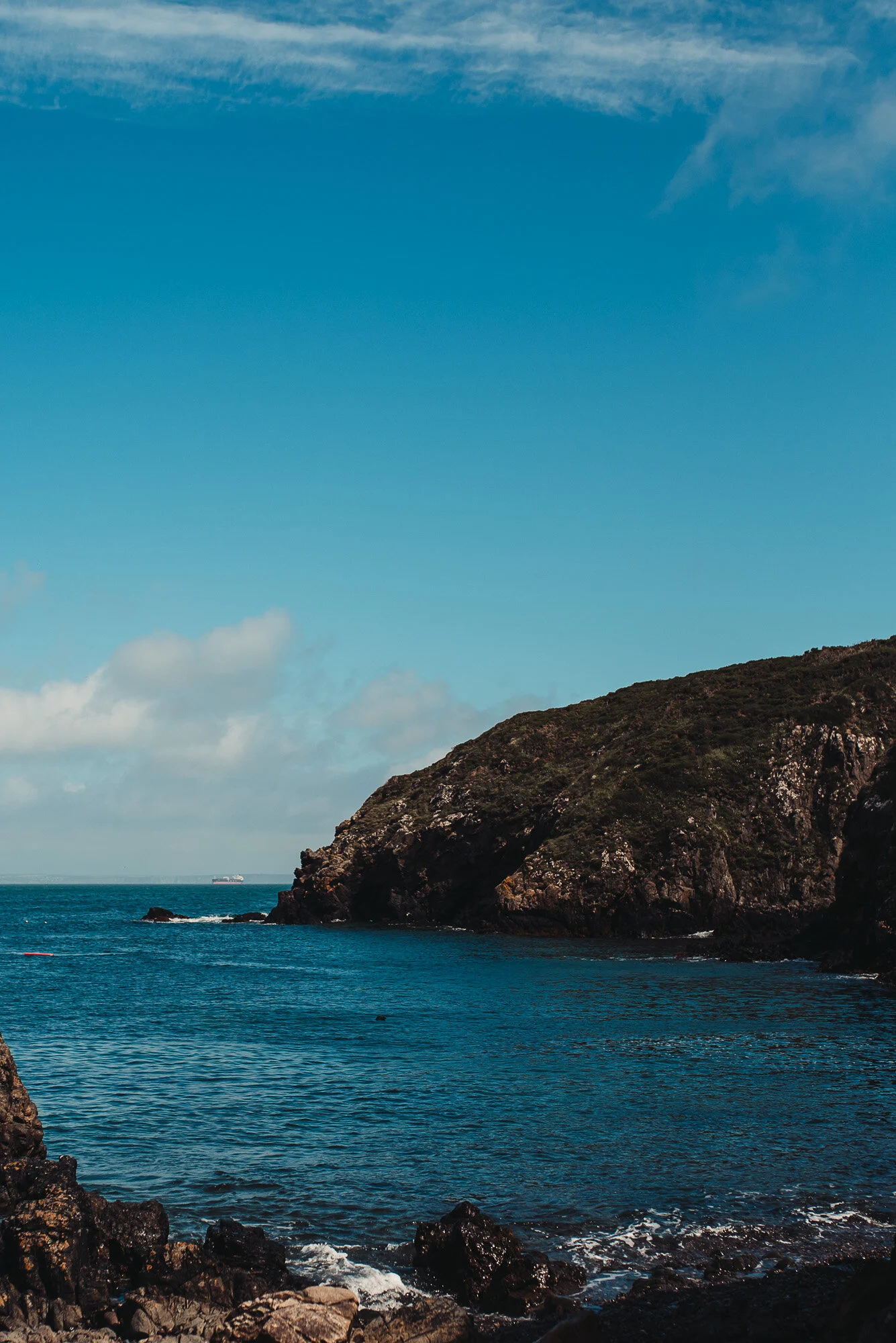 If you zoom in you might be able to spot the seal!
