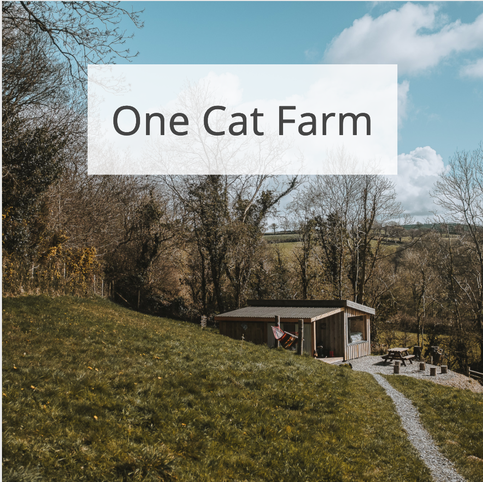 One Cat Farm
