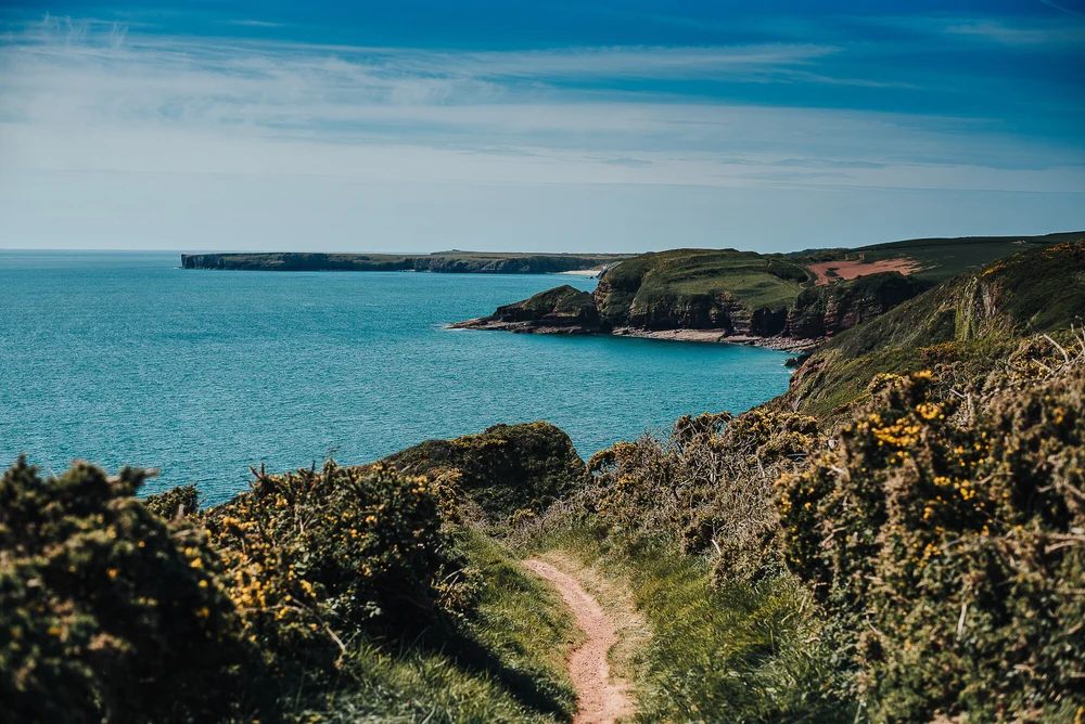 Walking the Wales Coast Path - Pembrokeshire - Stackpole Quay to ...