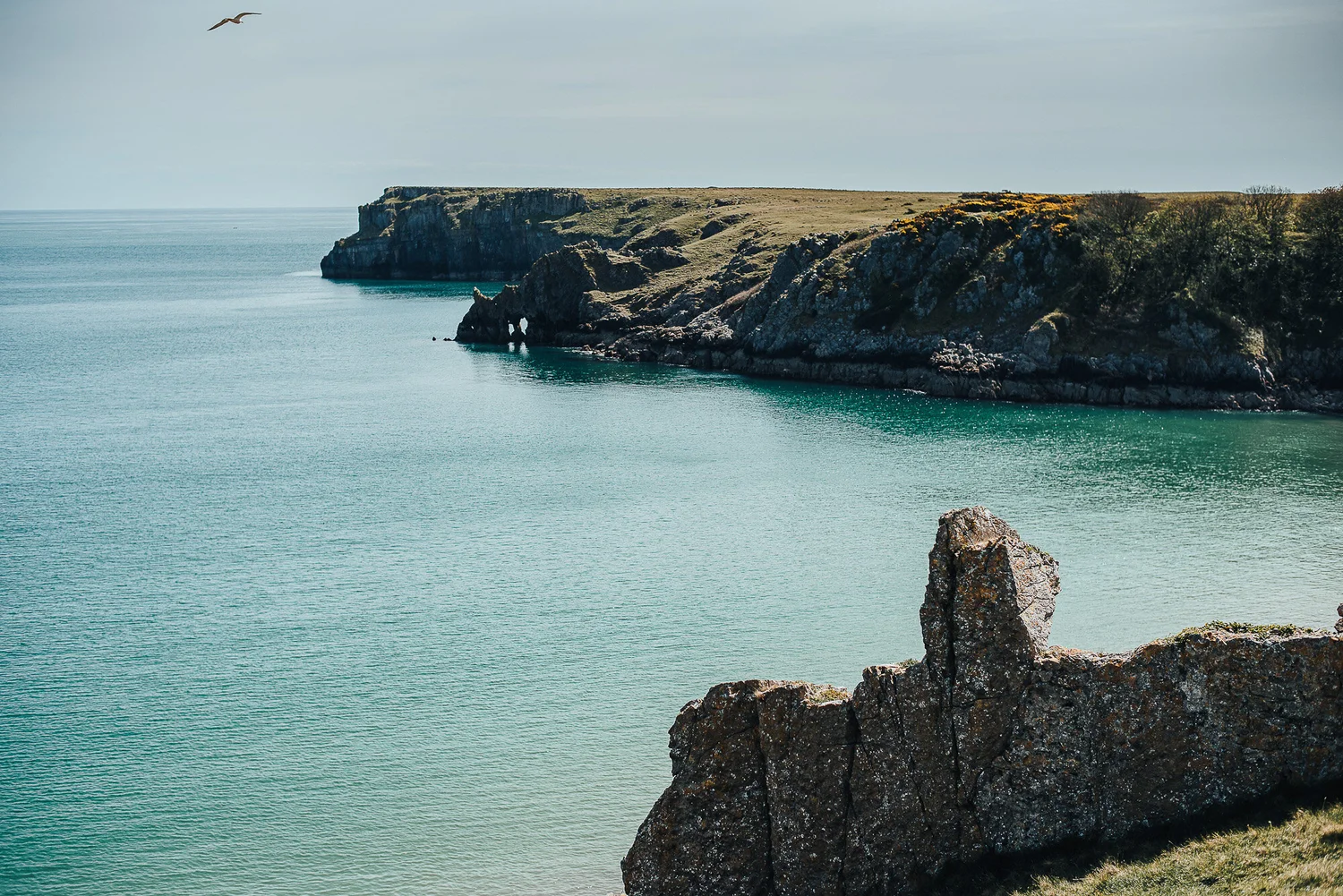 Walking the Wales Coast Path - Pembrokeshire - Stackpole Quay to ...
