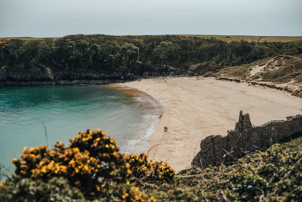 Walking the Wales Coast Path - Pembrokeshire - Stackpole Quay to ...