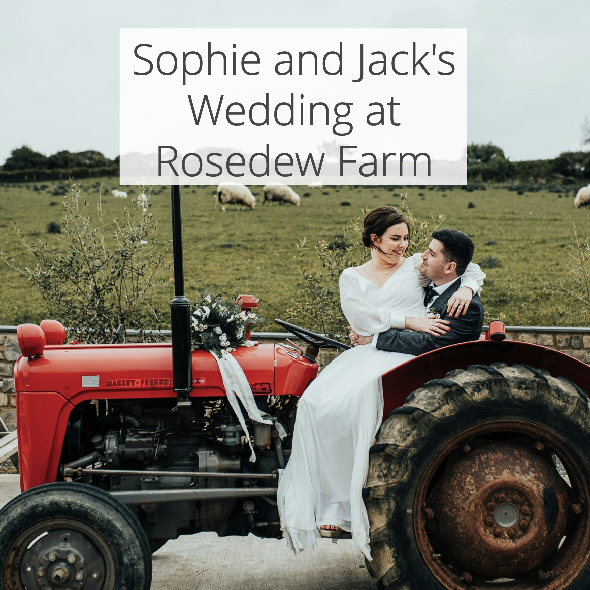 Sophie and Jack’s Wedding at Rosedew Farm