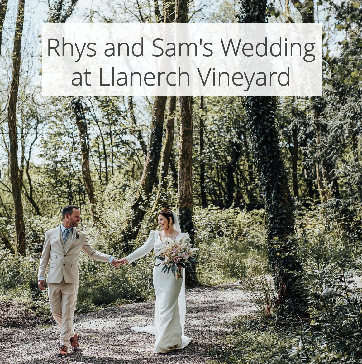 Rhys and Sam’s Wedding at Llanerch Vineyard