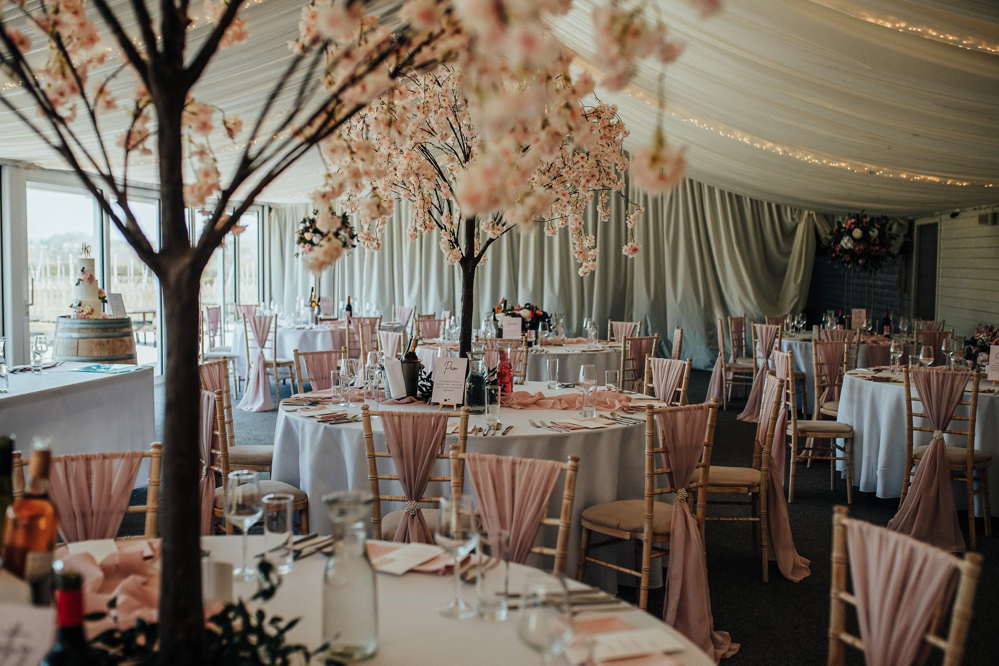 OurBeautifulAdventure-LlanarchVineyardWedding-Jones-Blog-3353.jpg