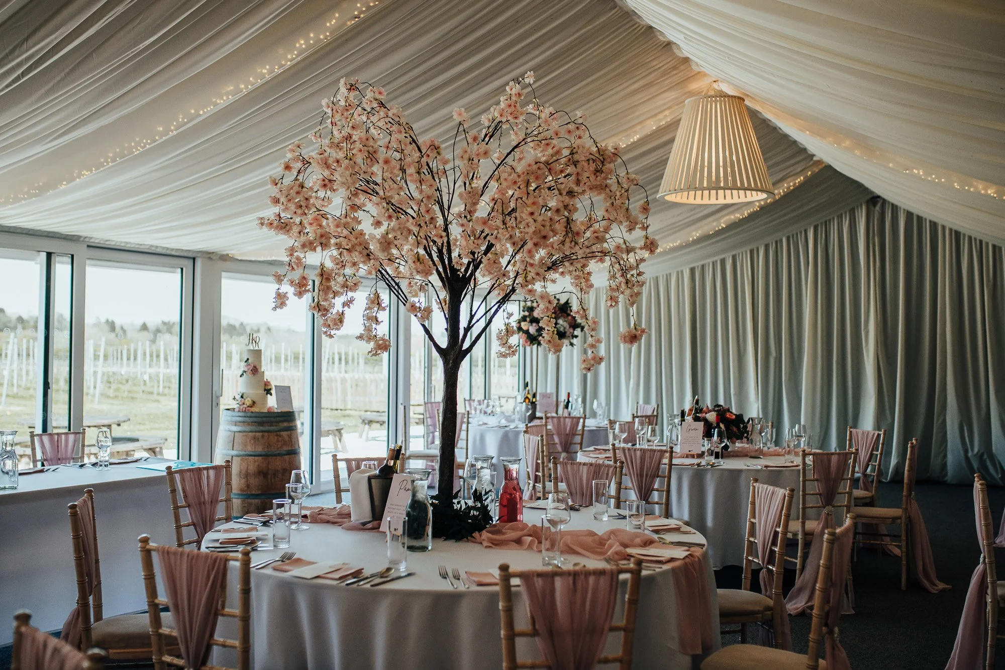 OurBeautifulAdventure-LlanarchVineyardWedding-Jones-Blog-3354.jpg