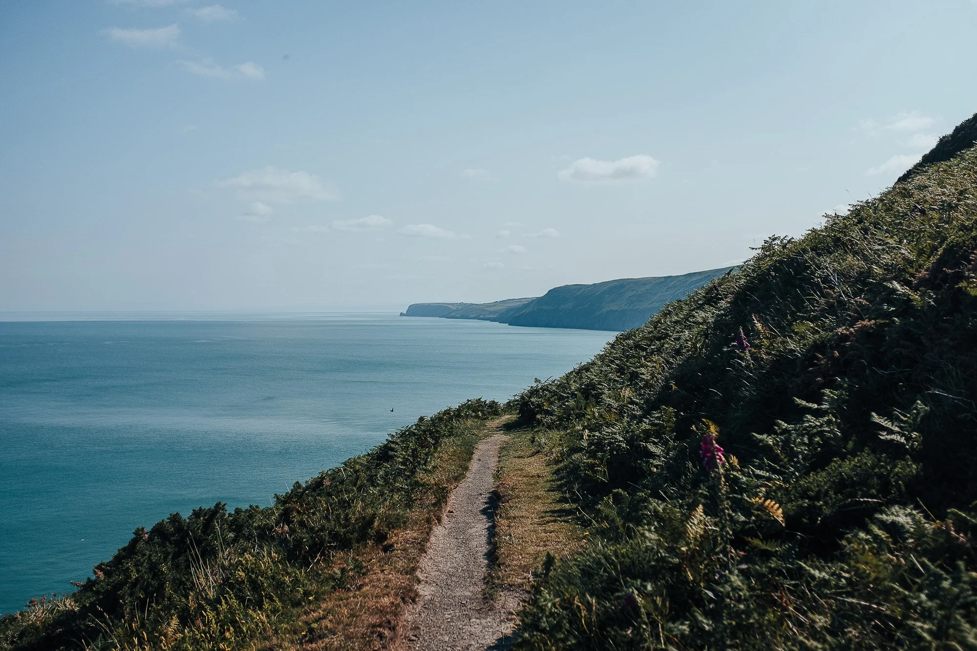 OurBeautifulAdventure-WalesCoastPath-Llangrannog-NewQuay-Ceredigion-Blog-1149.jpg