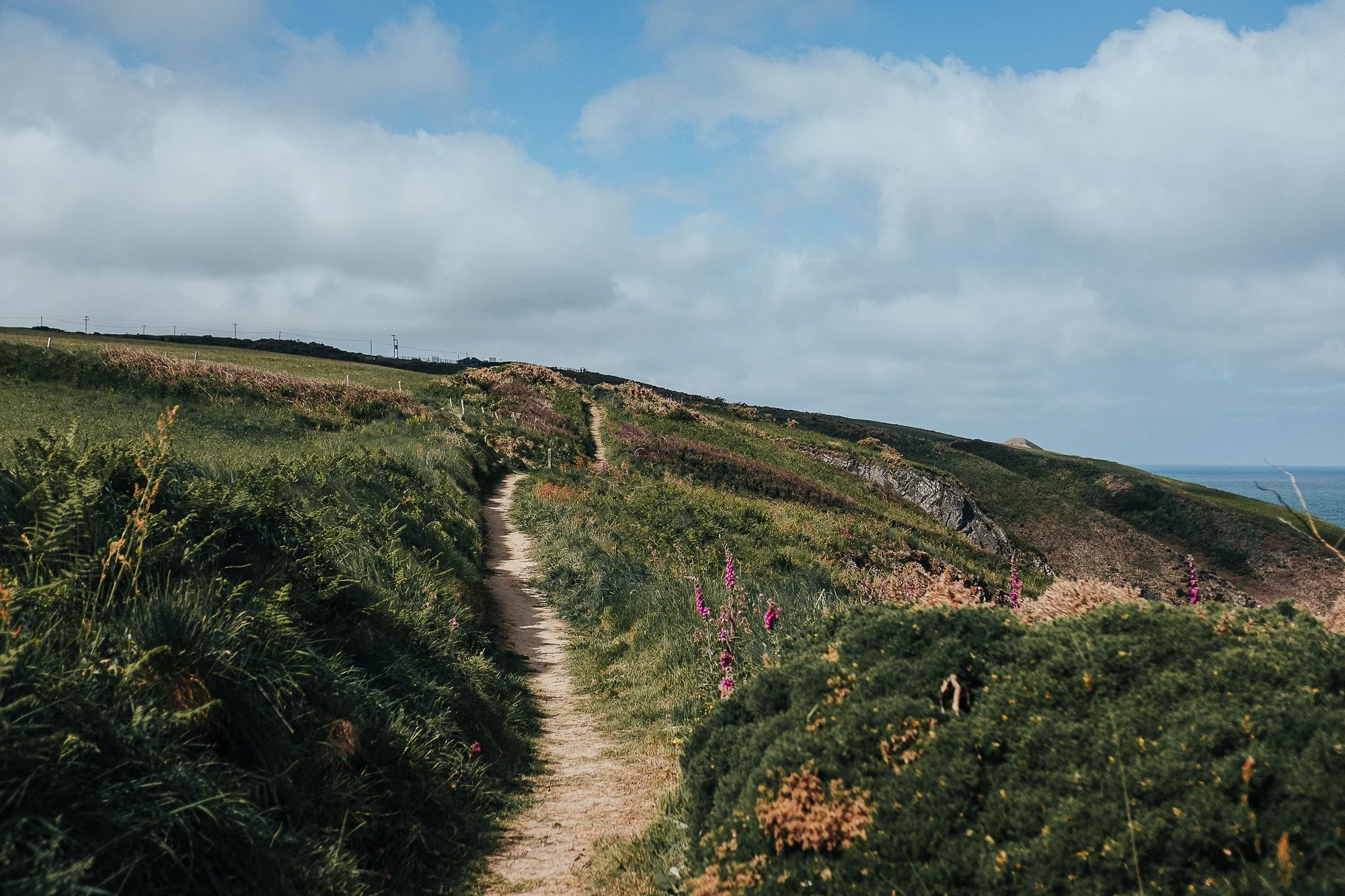 OurBeautifulAdventure-Aberporth-Cardigan-WCP-Blog-1028.jpg