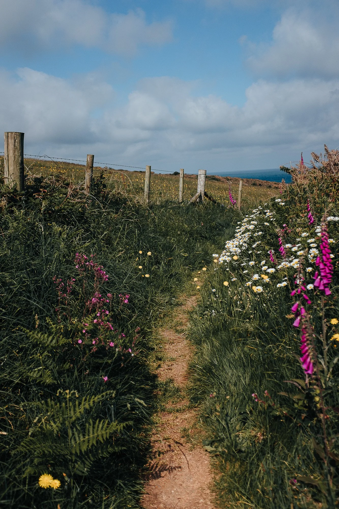 OurBeautifulAdventure-Aberporth-Cardigan-WCP-Blog-1015.jpg