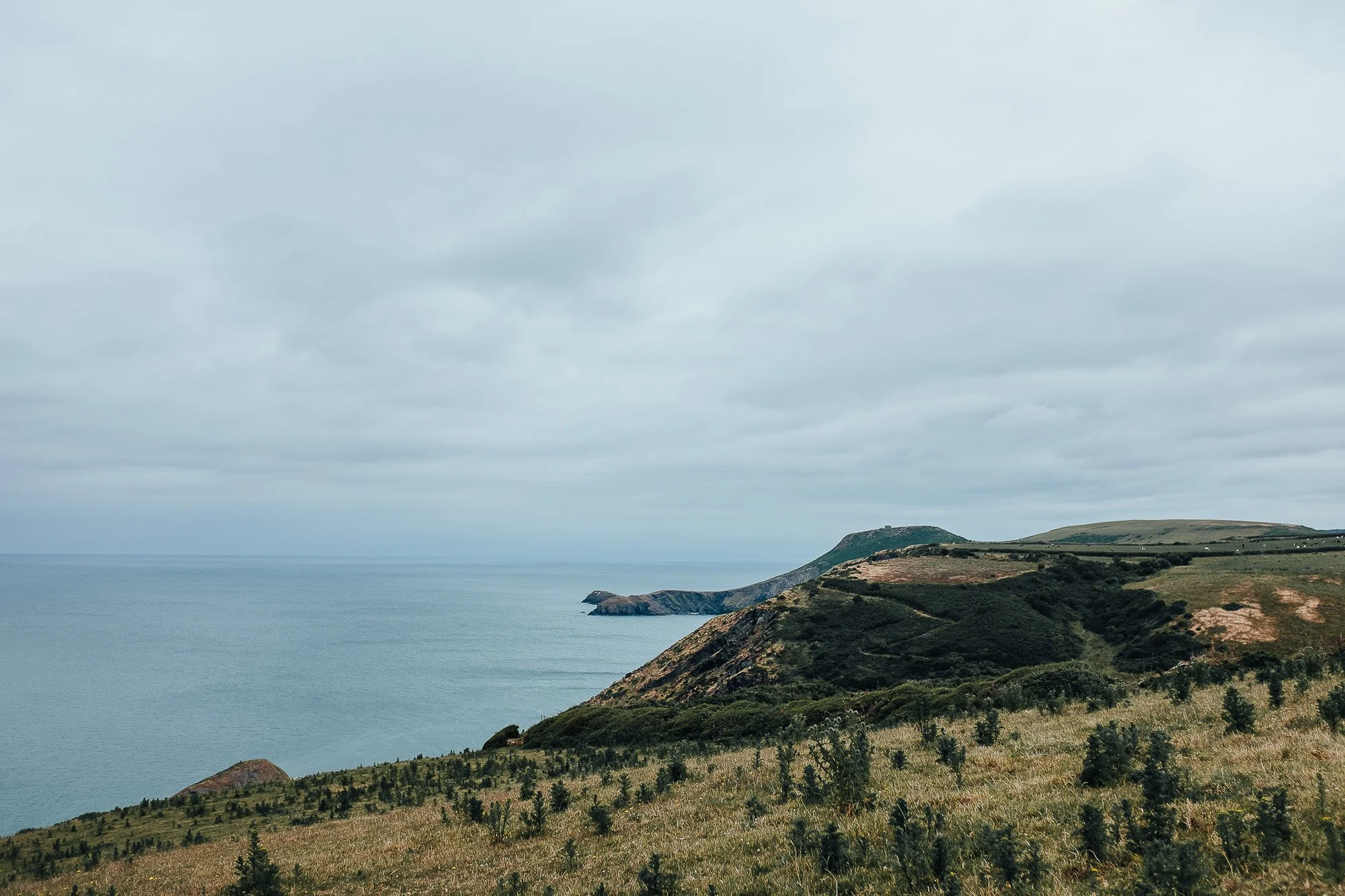 OurBeautifulAdventure-Aberporth-Llangrannog-WCP-Blog-8680.jpg