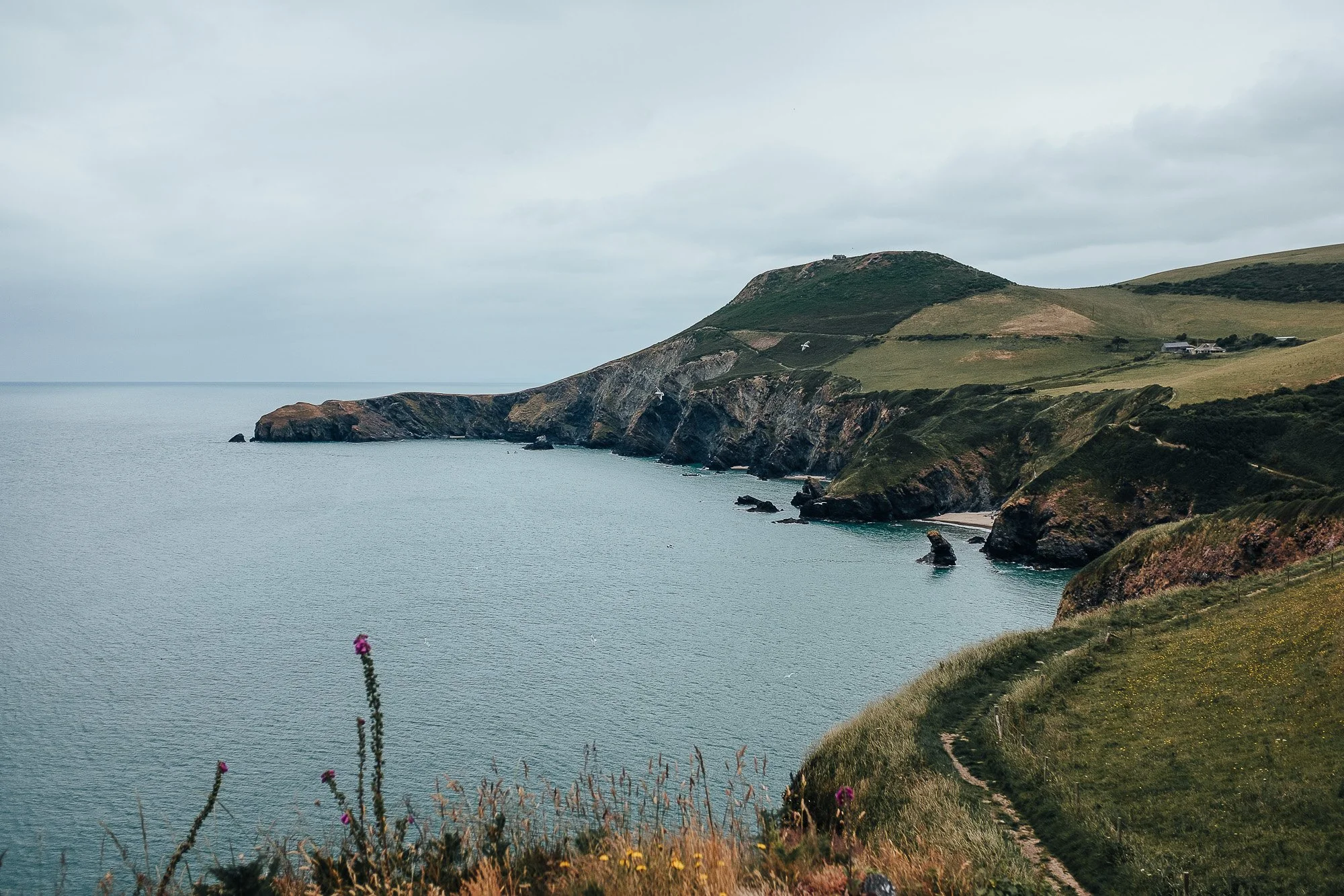 OurBeautifulAdventure-Aberporth-Llangrannog-WCP-Blog-8704.jpg
