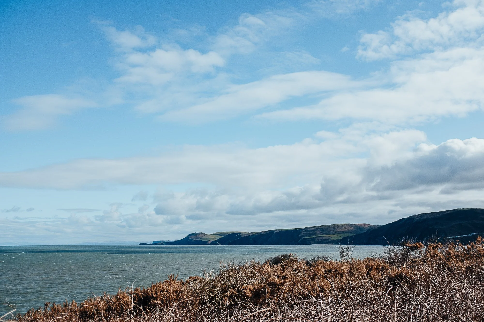 OurBeautifulAdventure-Aberporth-Llangrannog-WCP-Blog-0449.jpg