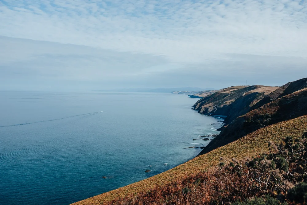 OurBeautifulAdventure-Llanryhstud-Aberywstwyth-Ceredigion-WalesCoast Path-Blog-1488.jpg