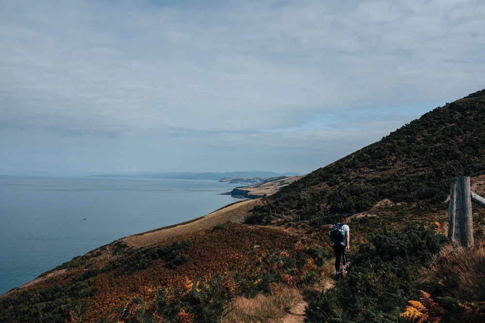 OurBeautifulAdventure-Llanryhstud-Aberywstwyth-Ceredigion-WalesCoast Path-Blog-1511.jpg