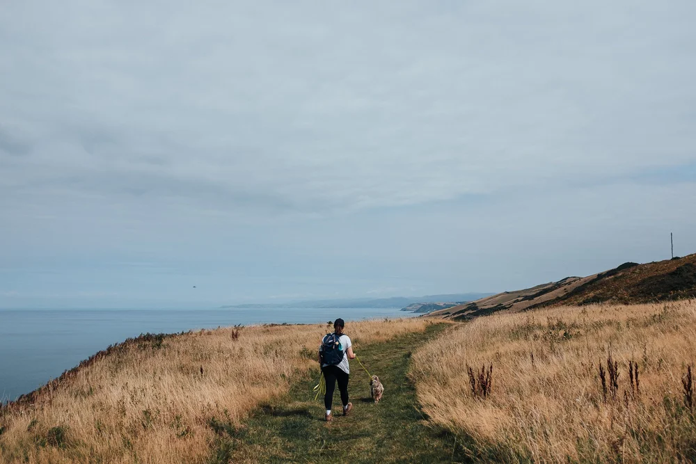 OurBeautifulAdventure-Llanryhstud-Aberywstwyth-Ceredigion-WalesCoast Path-Blog-1515.jpg