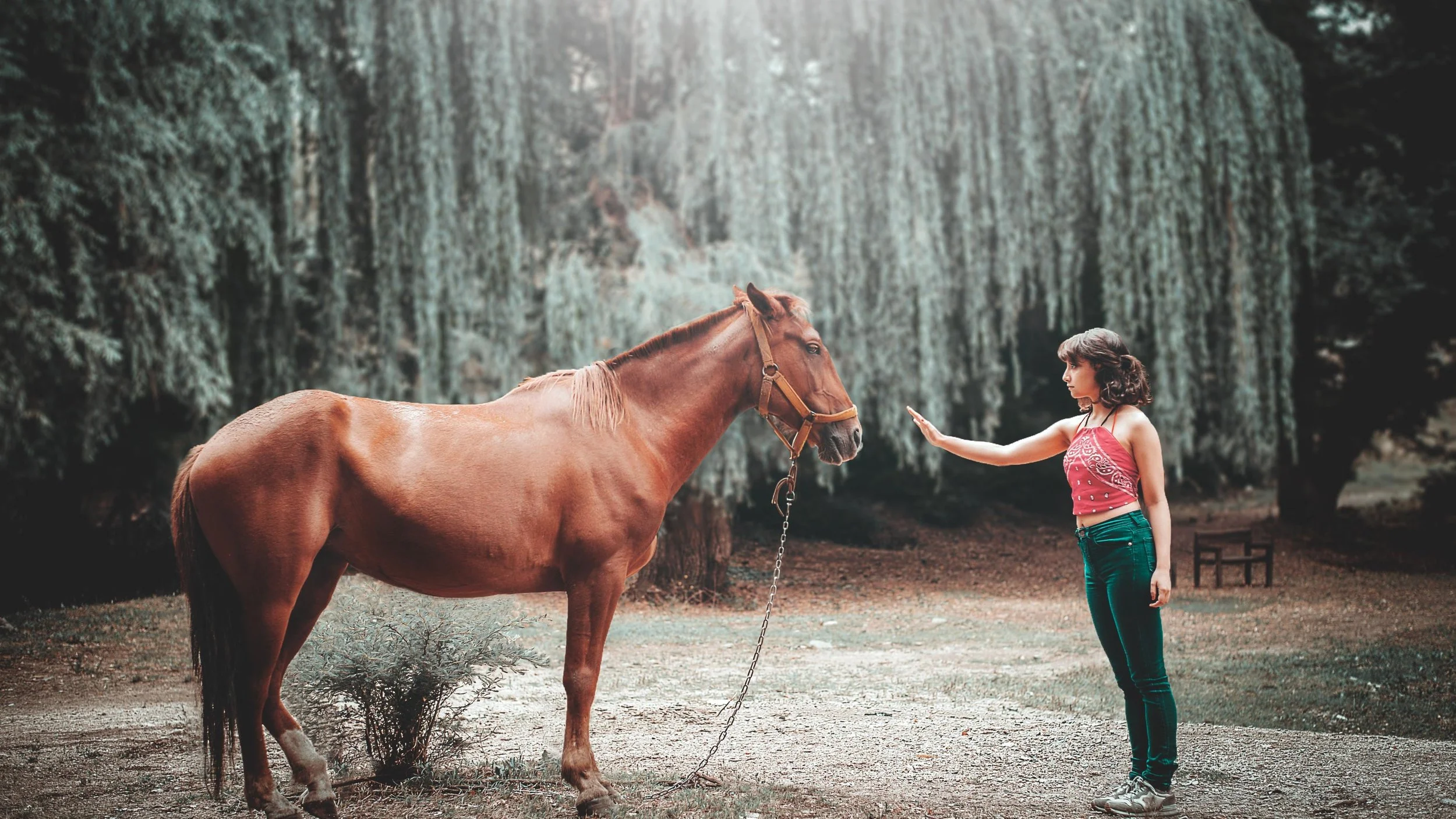 Struggle and Surrender