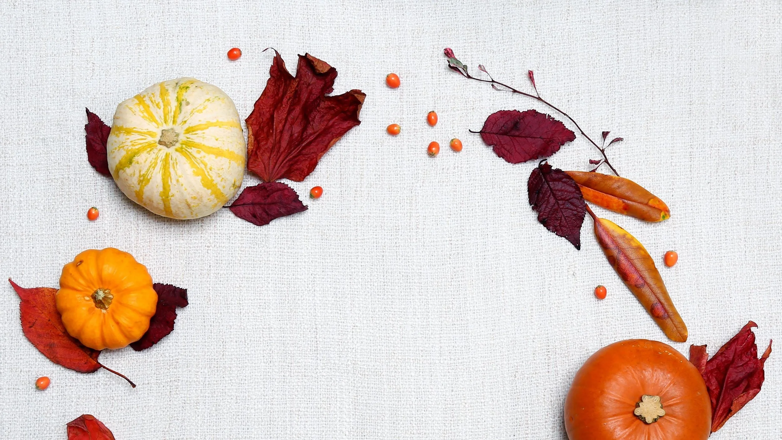 Embracing the Season of Gratitude