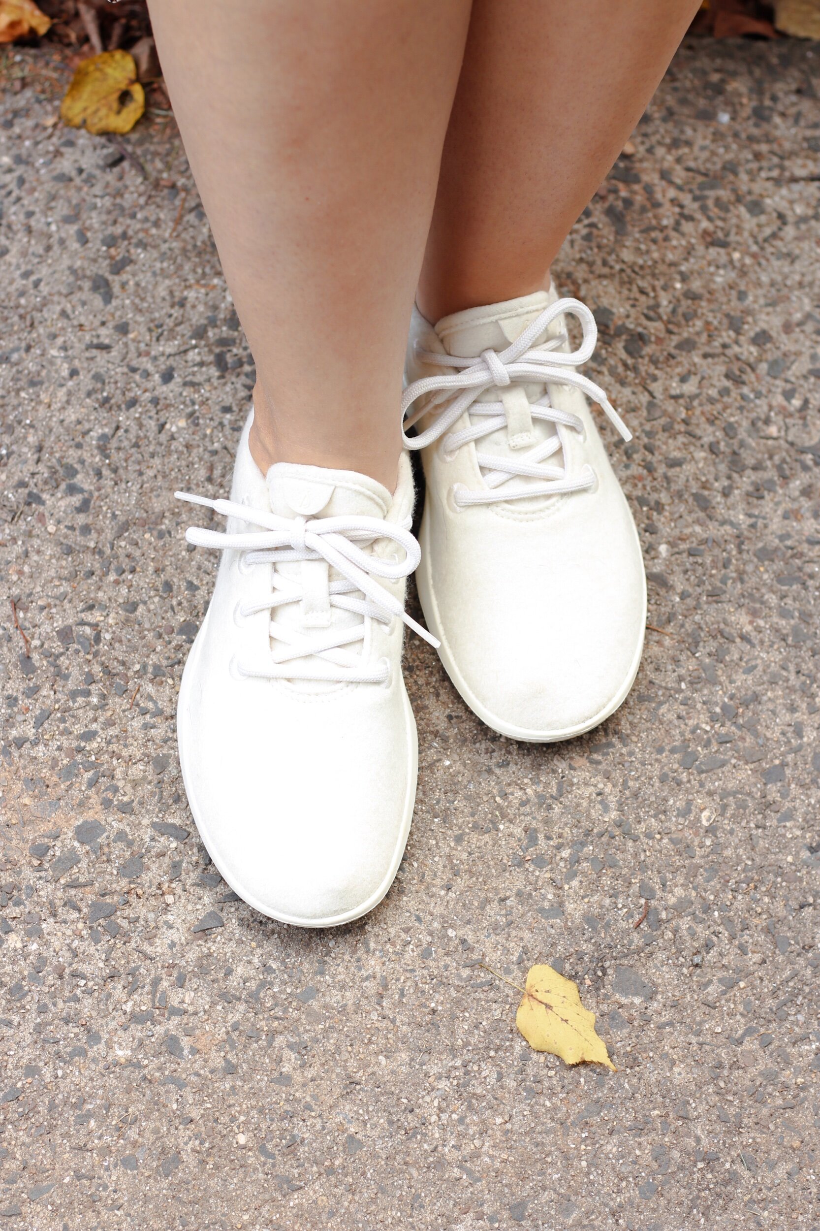 allbirds shoes white