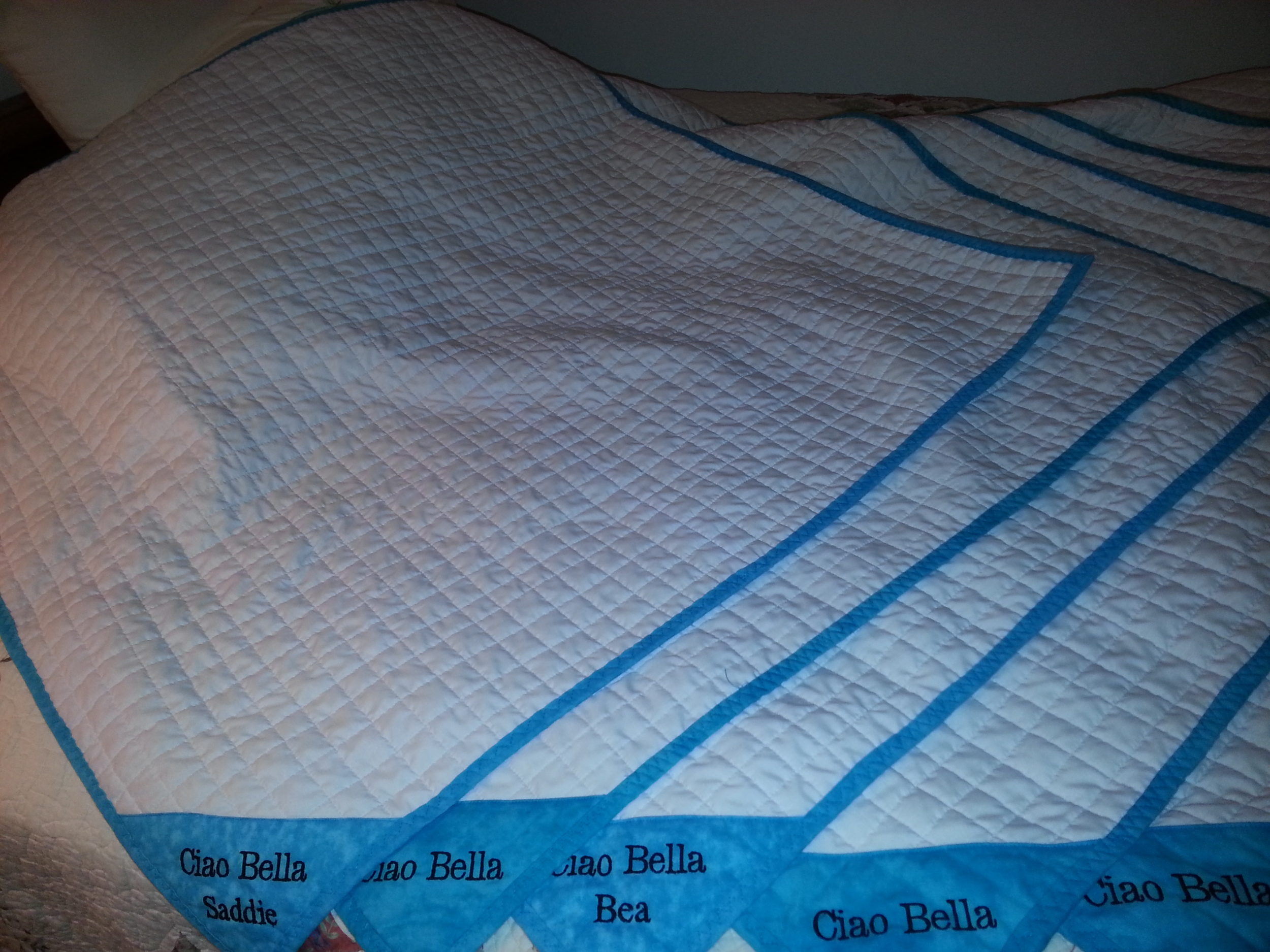 Not all quilts are made for people. These are for the yellow lab puppies from Ciao Bella Retrievers as they go to their new homes.