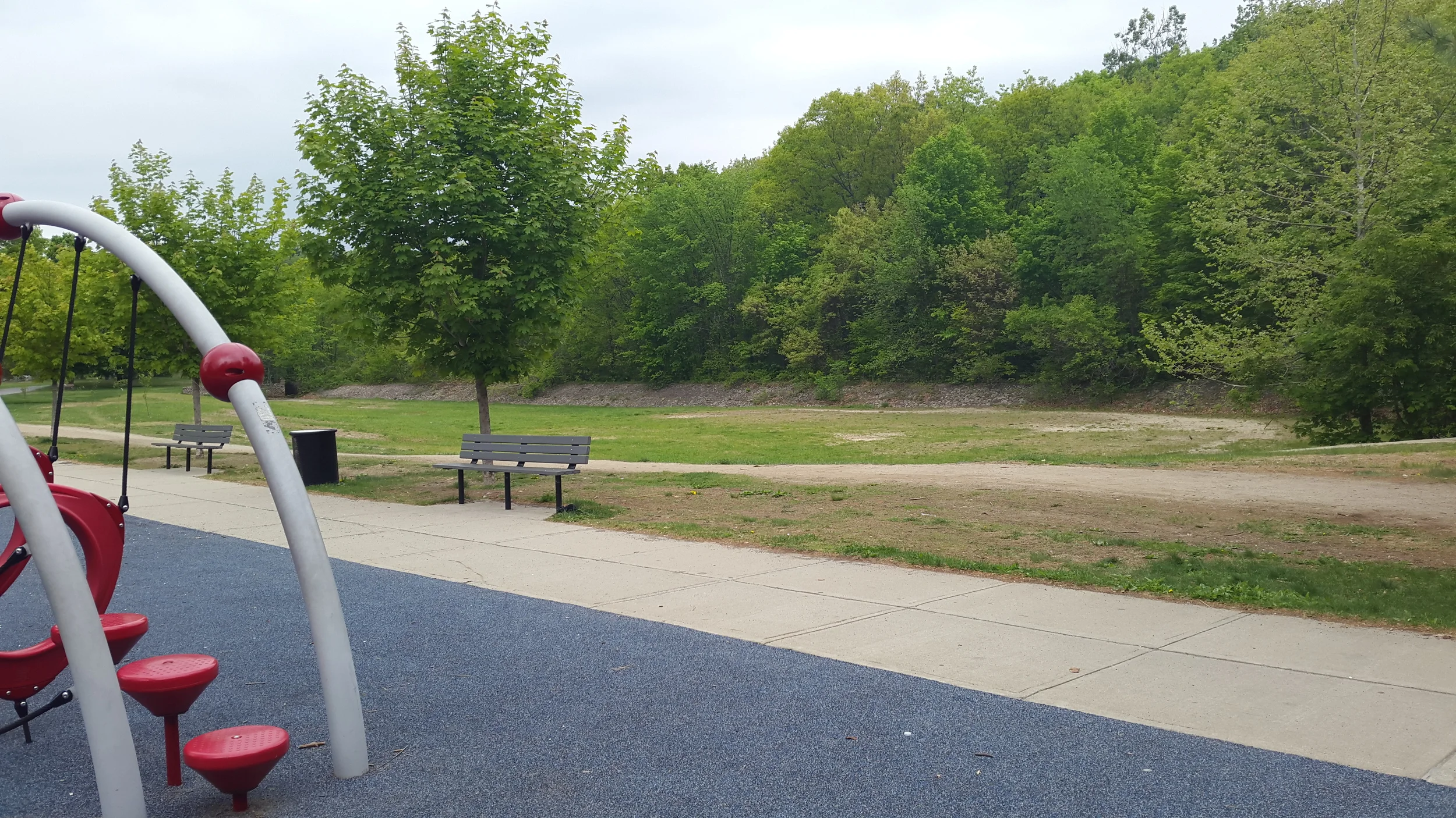 20150516_140000.jpg