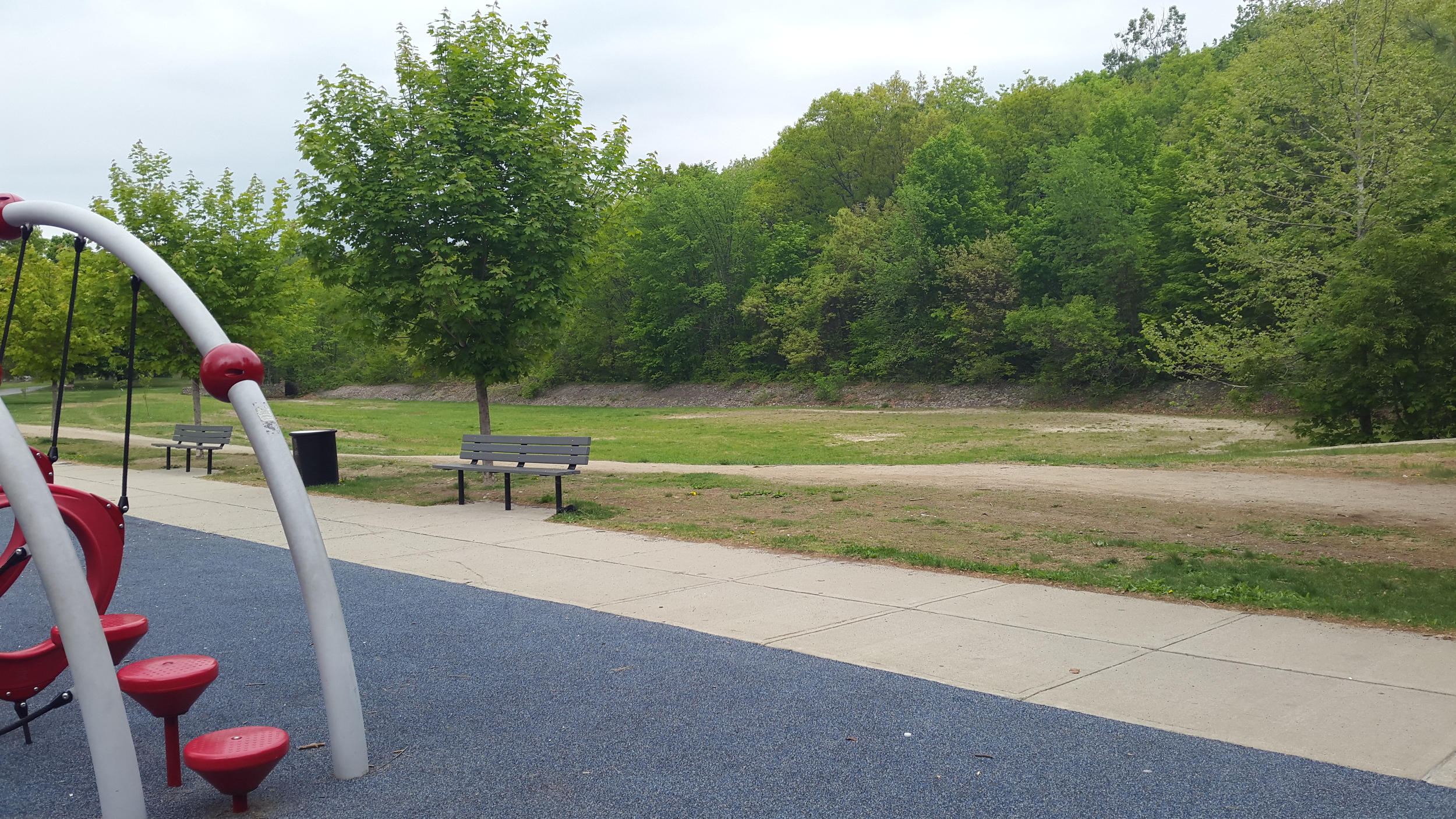 20150516_140000.jpg