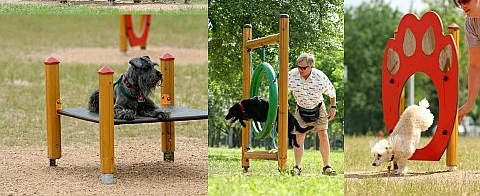 paw1.jpg