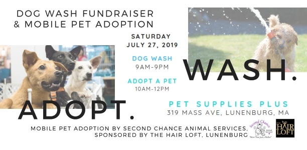 Dirty Dog WASH fundraiser &amp; ADOPT-a-Dog at PetSupplies Plus