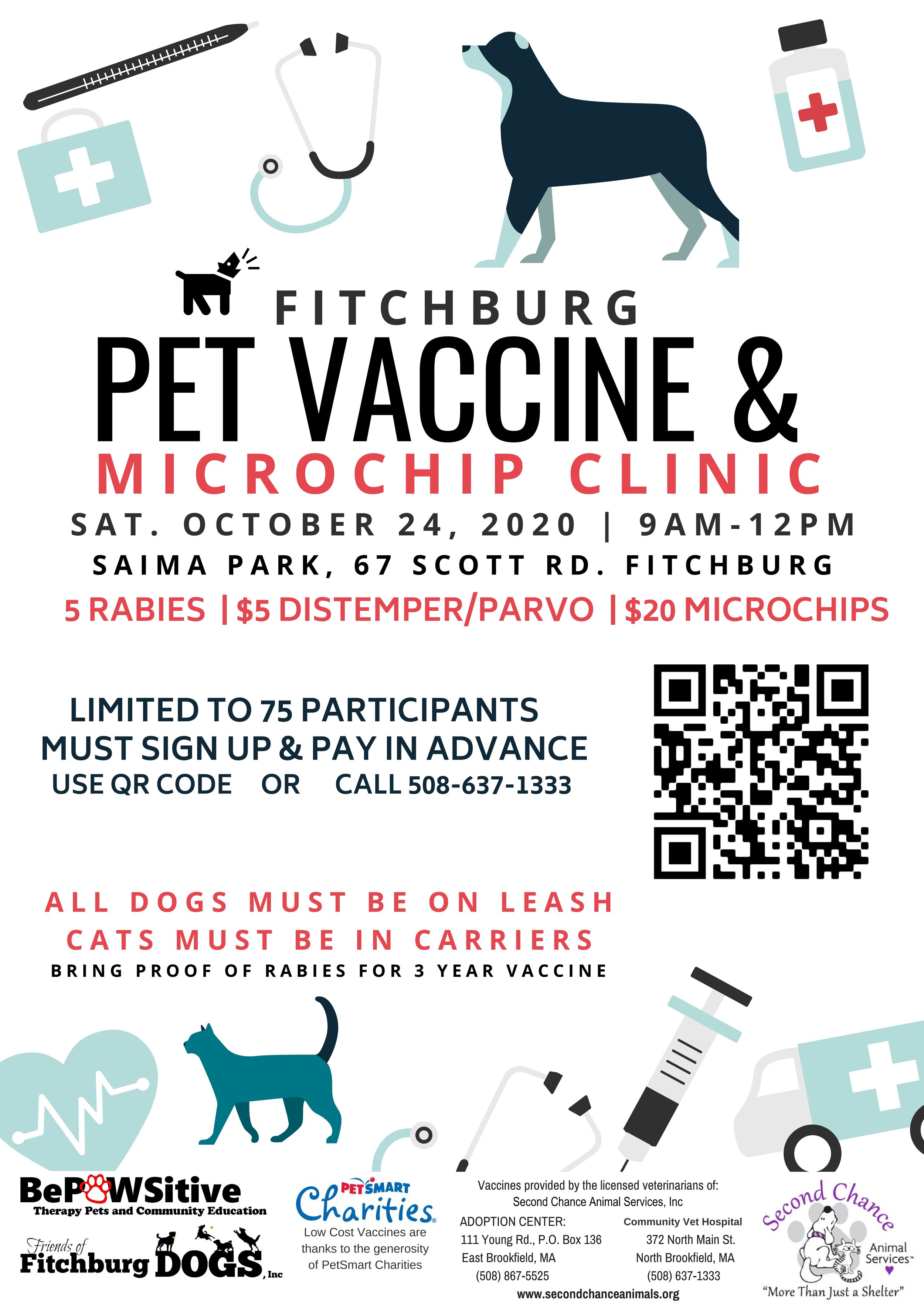 Cat Low Cost Emergency Vet Care Animal Emergency Clinic Low Income