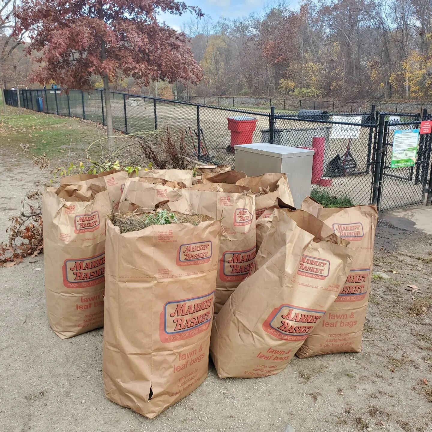 A great group helped cleanup the Fitchburg Dog Park this morning... it looks so nice and clean! 
We picked up leaves, trimmed trees and overgrowth, raked up some rocks, emptied all 5 trash cans, added some signage, picked up some stray 💩 and picked 