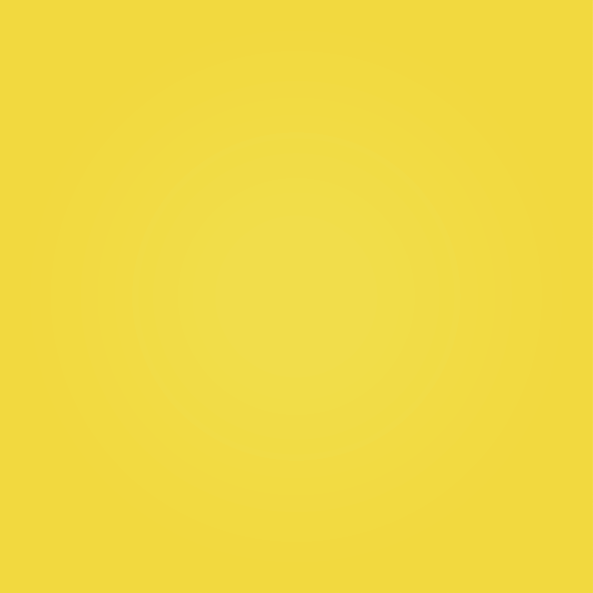 ENT-P5-donut-day-GIF.gif