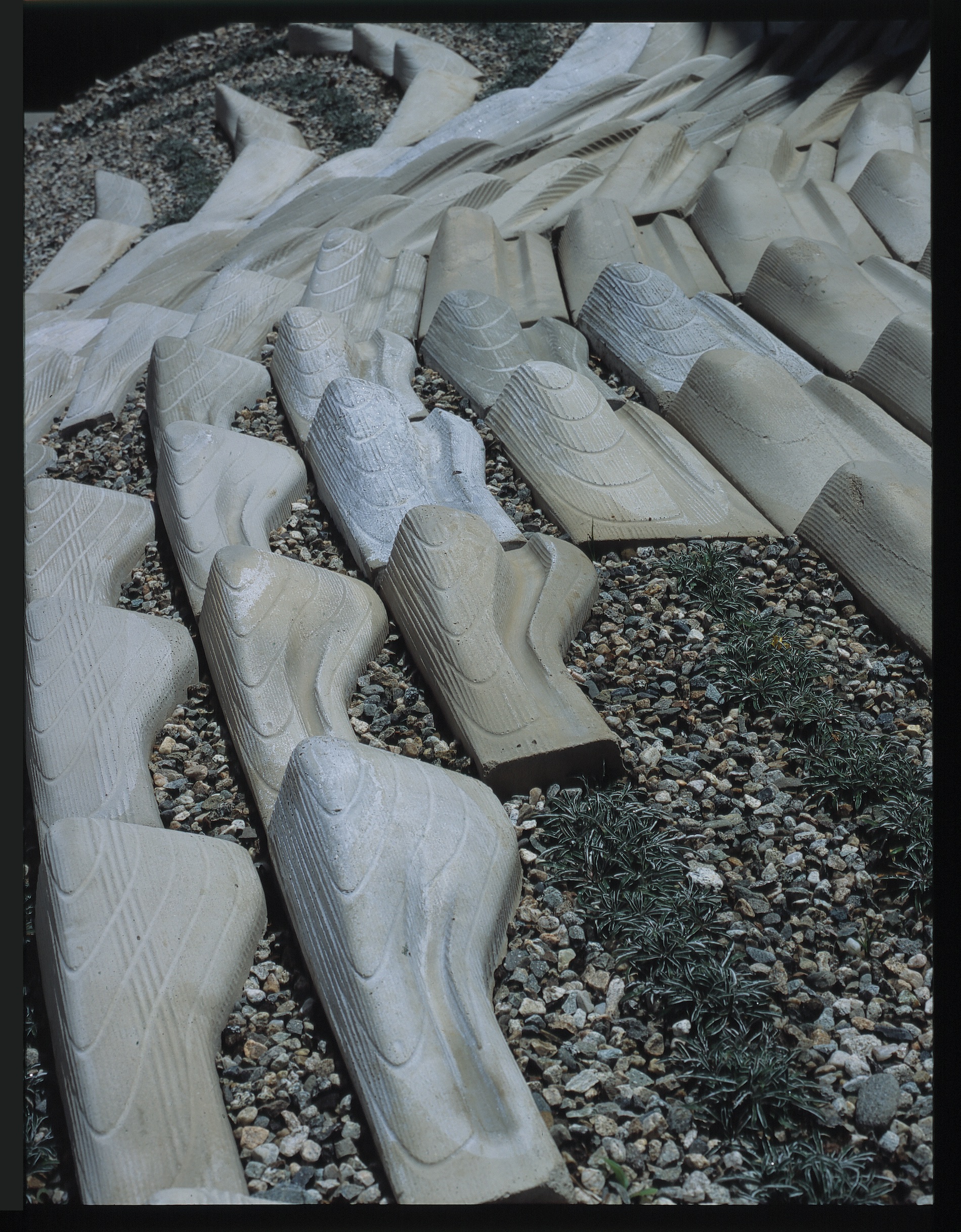 01_land.tiles_spina_030523.jpg
