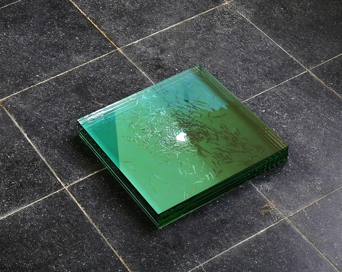 Mostafa Saifi Rahmouni - The Only Way