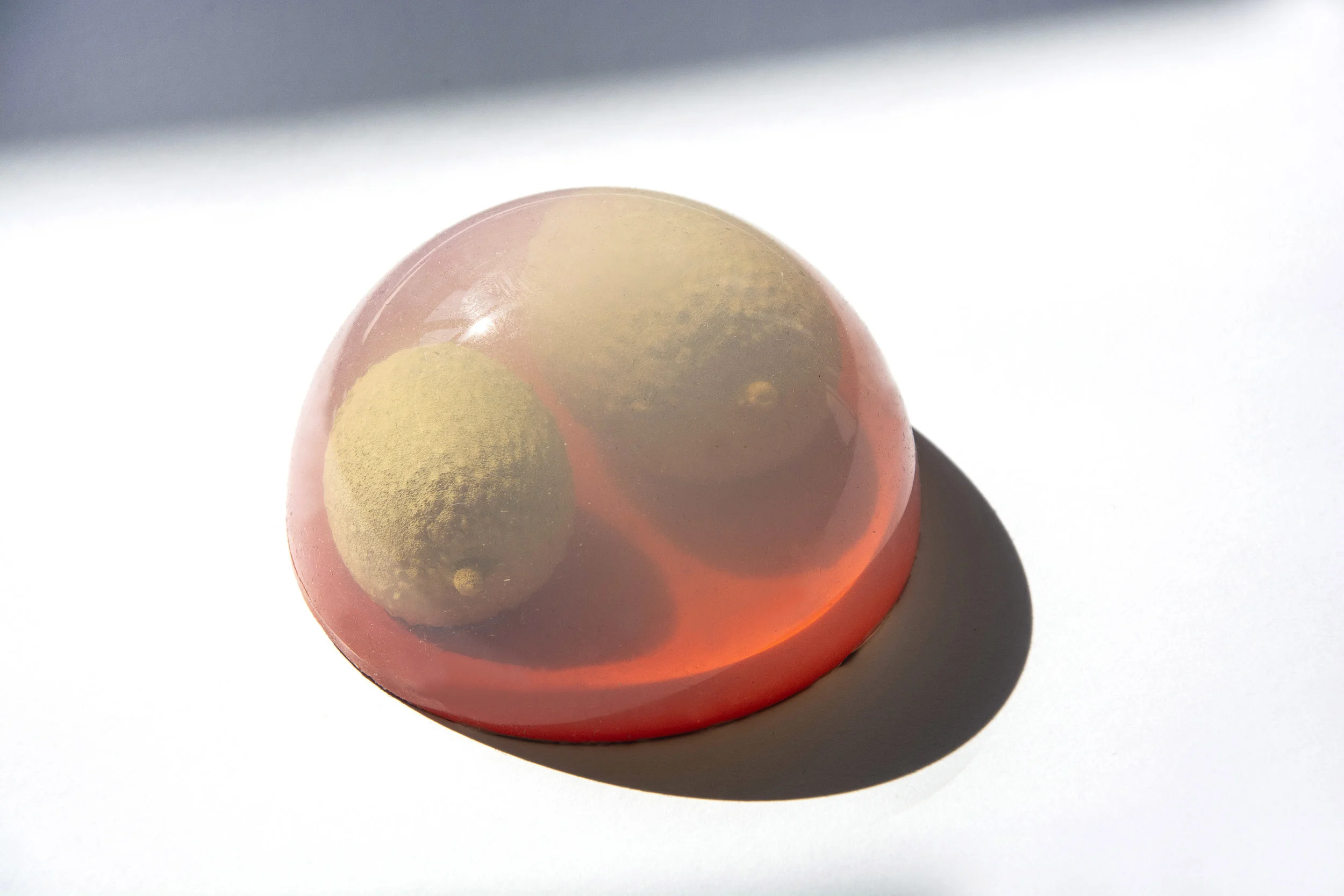 Solanne Bernard - Specimens #1