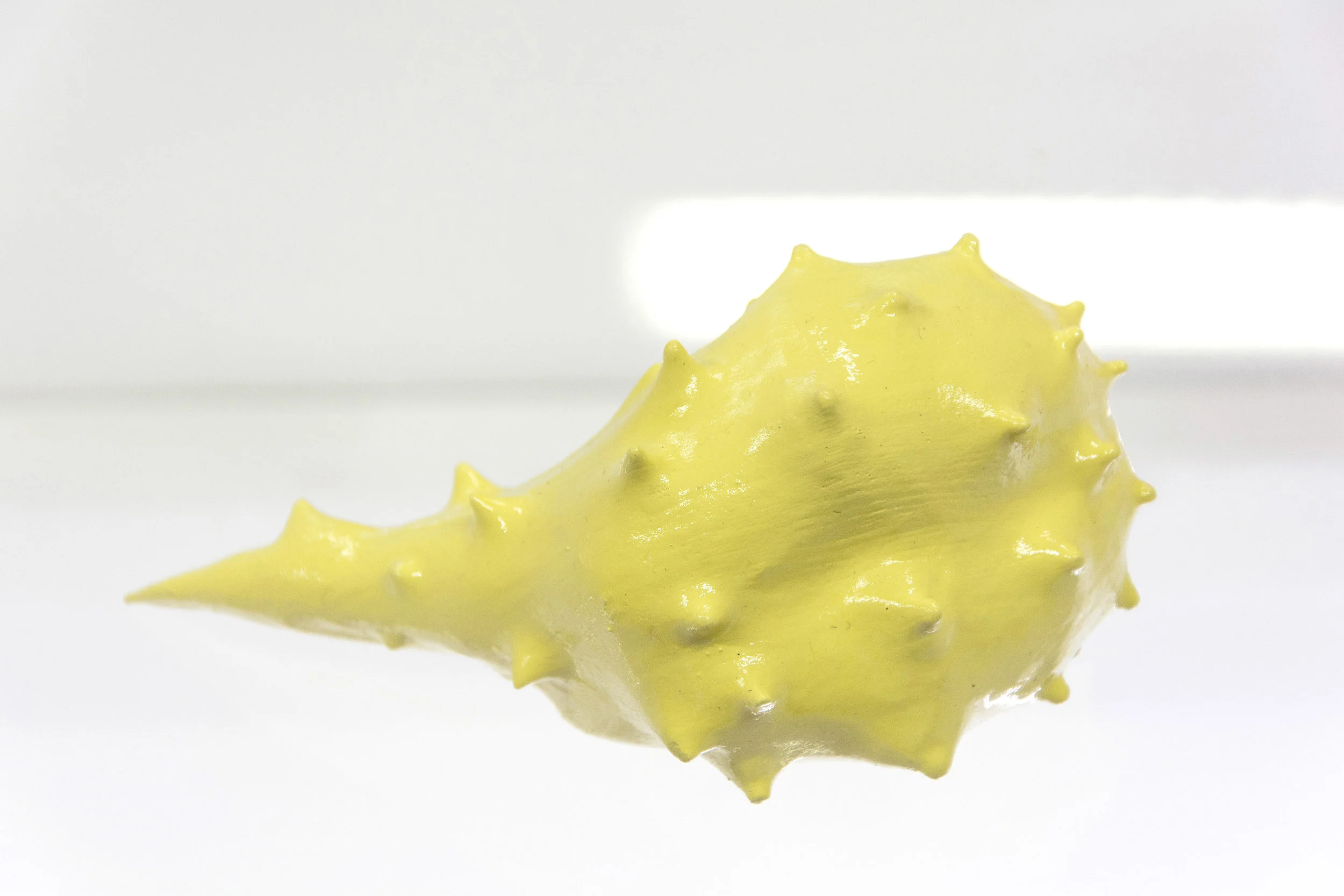 Solanne Bernard - Specimens #2