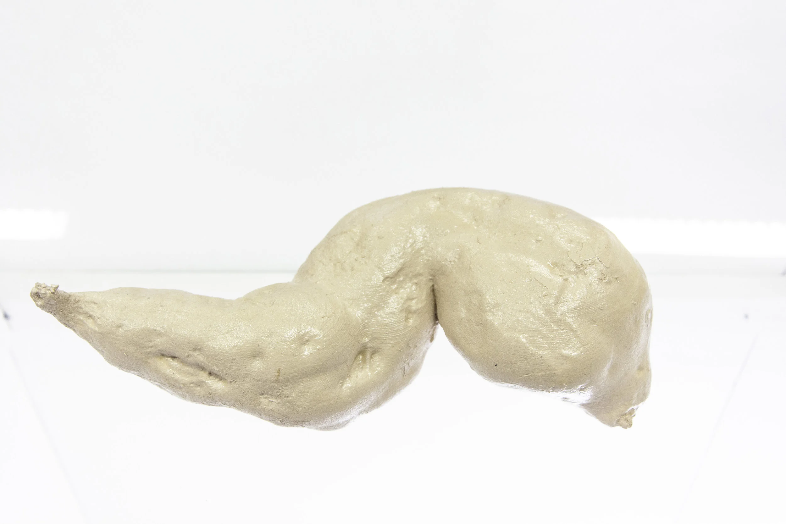 Solanne Bernard - Specimens #3