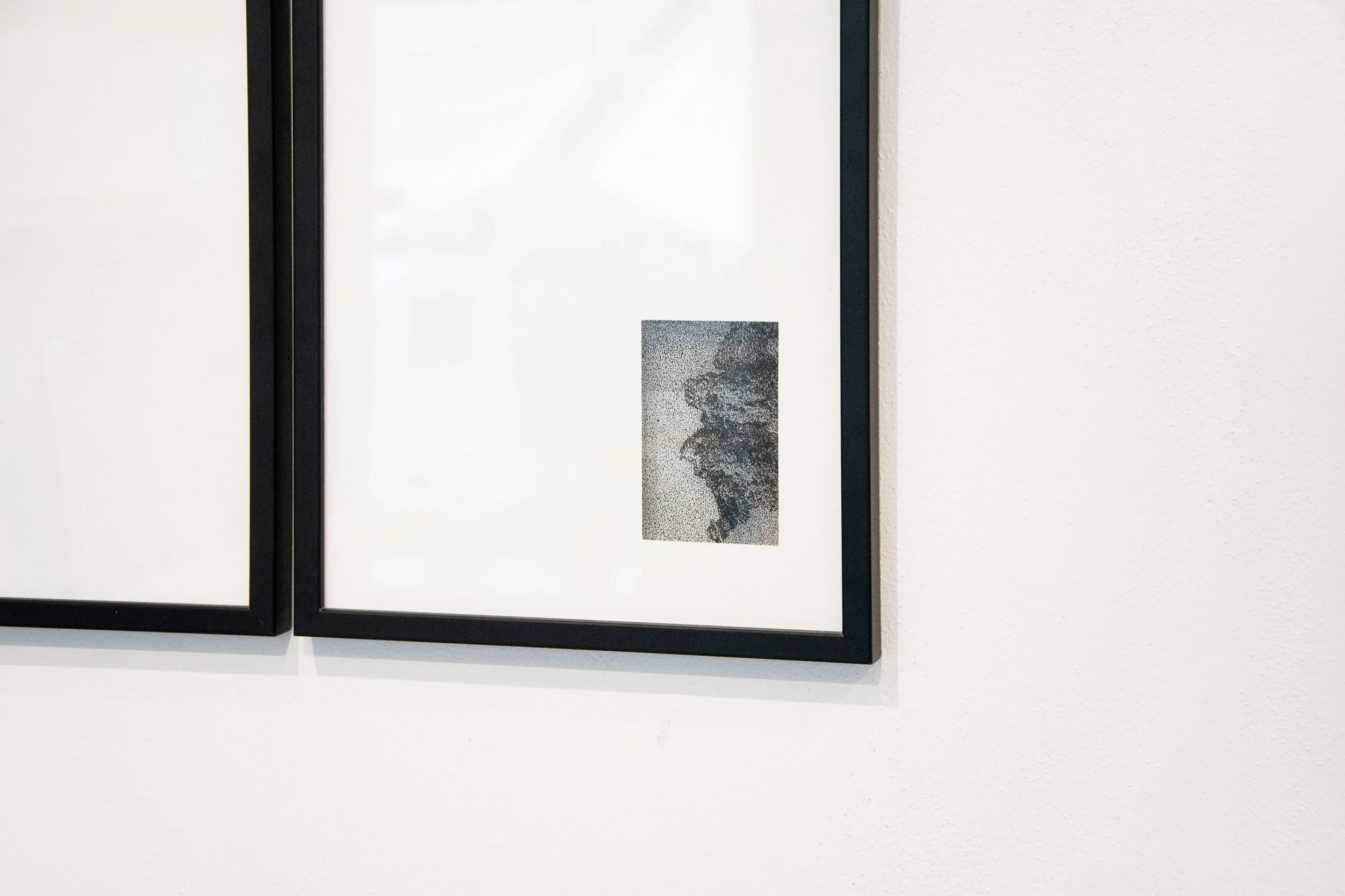 Artist_Series-22.jpg
