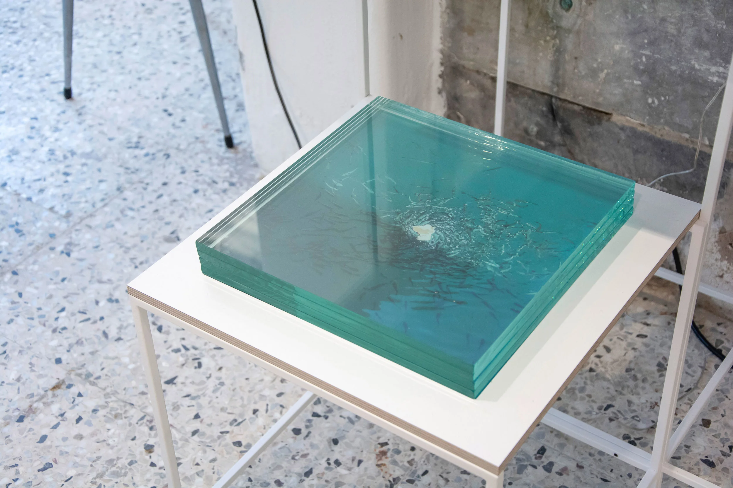 Artist_Series-25.jpg
