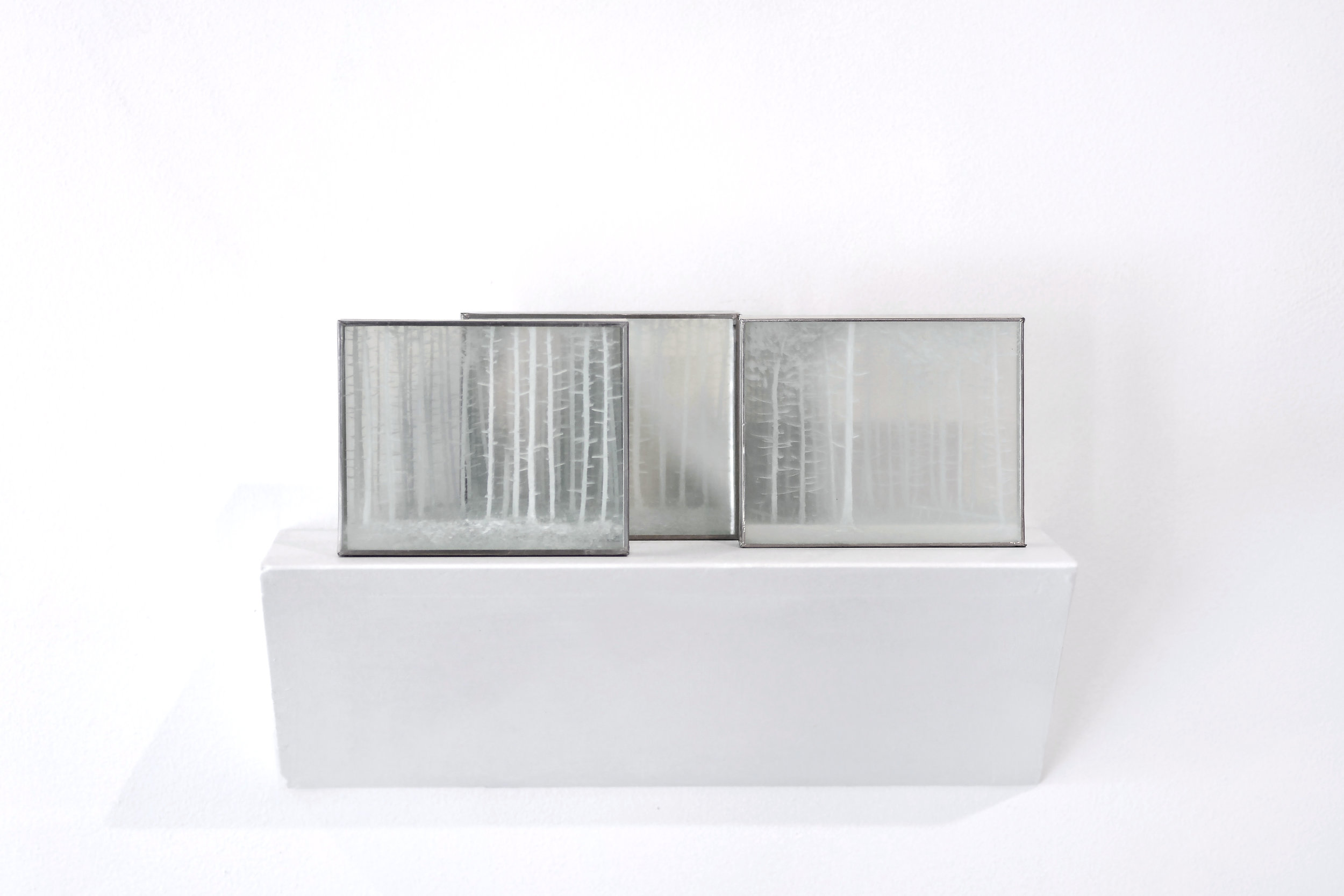 Françoise Perronno - Forêt de Sapins